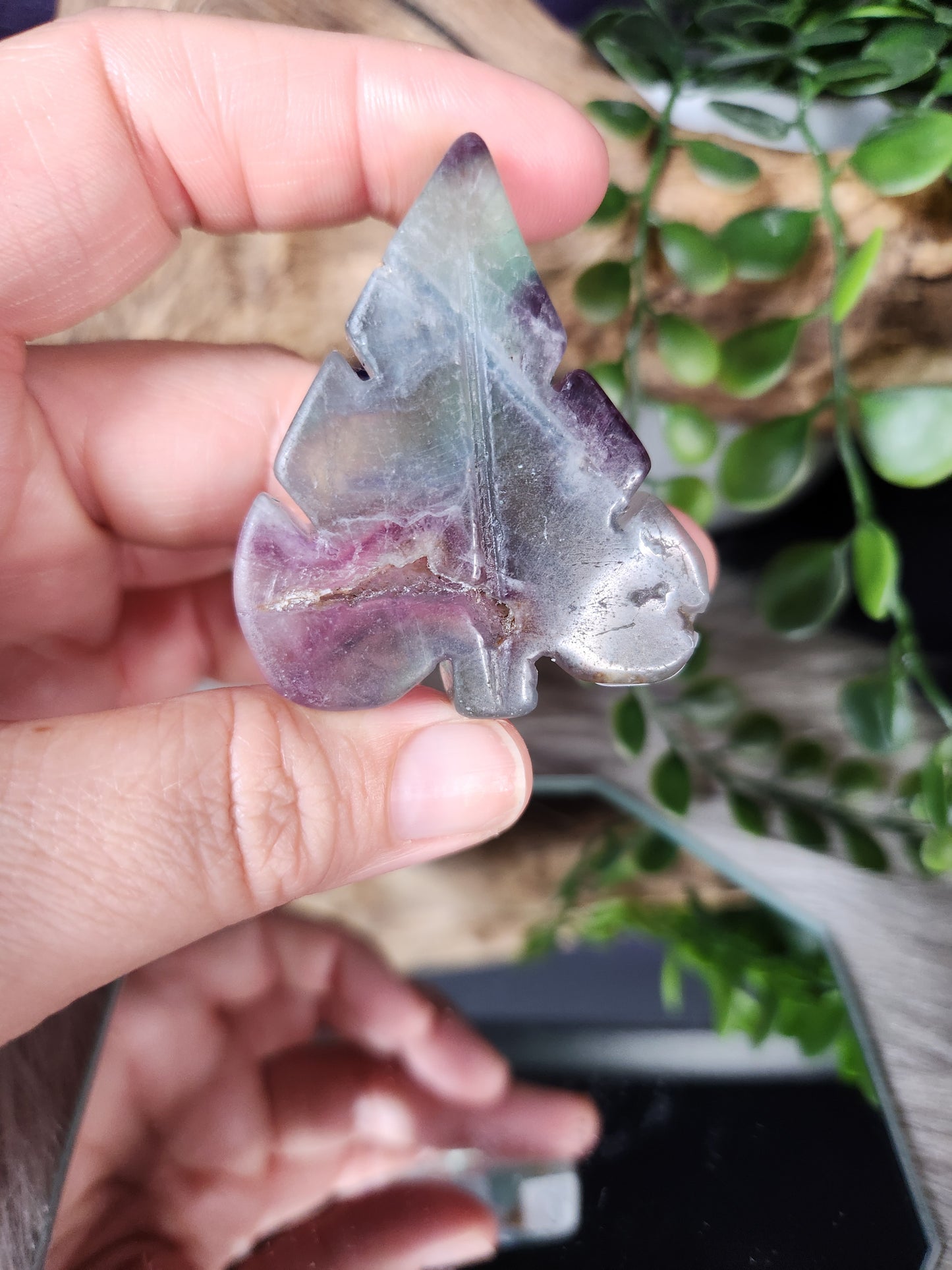 Fluorite | Leaves