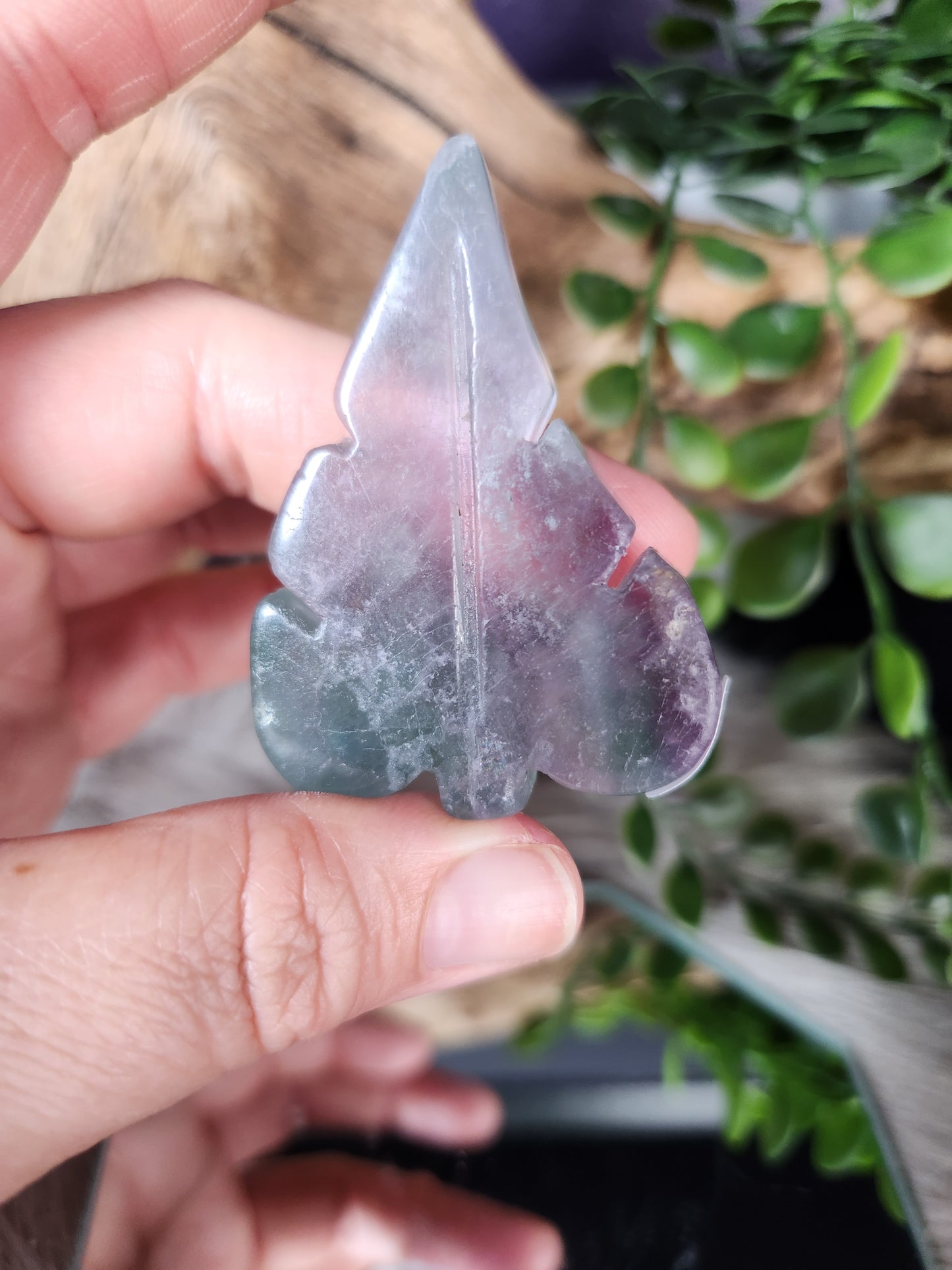 Fluorite | Leaves