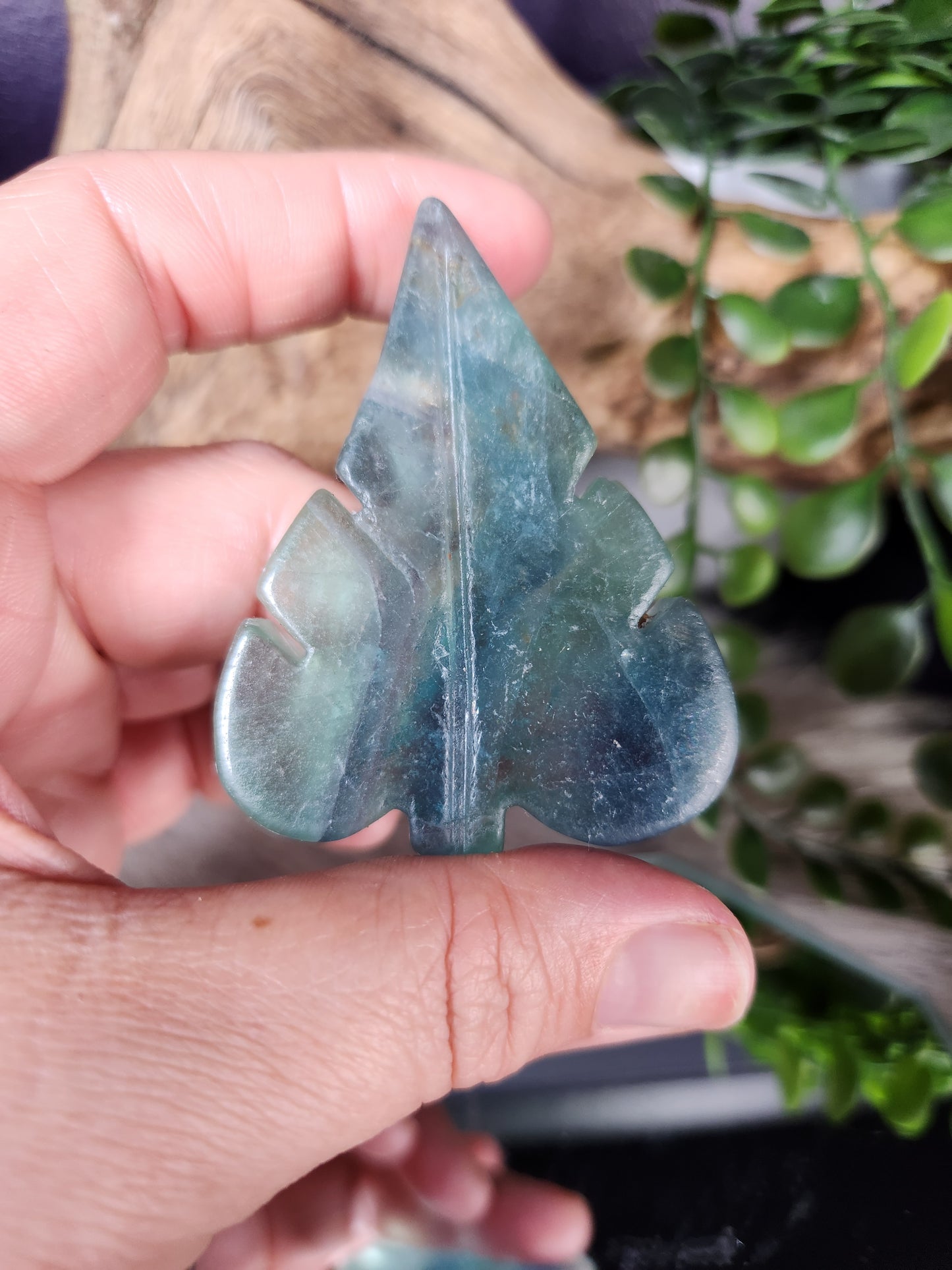 Fluorite | Leaves
