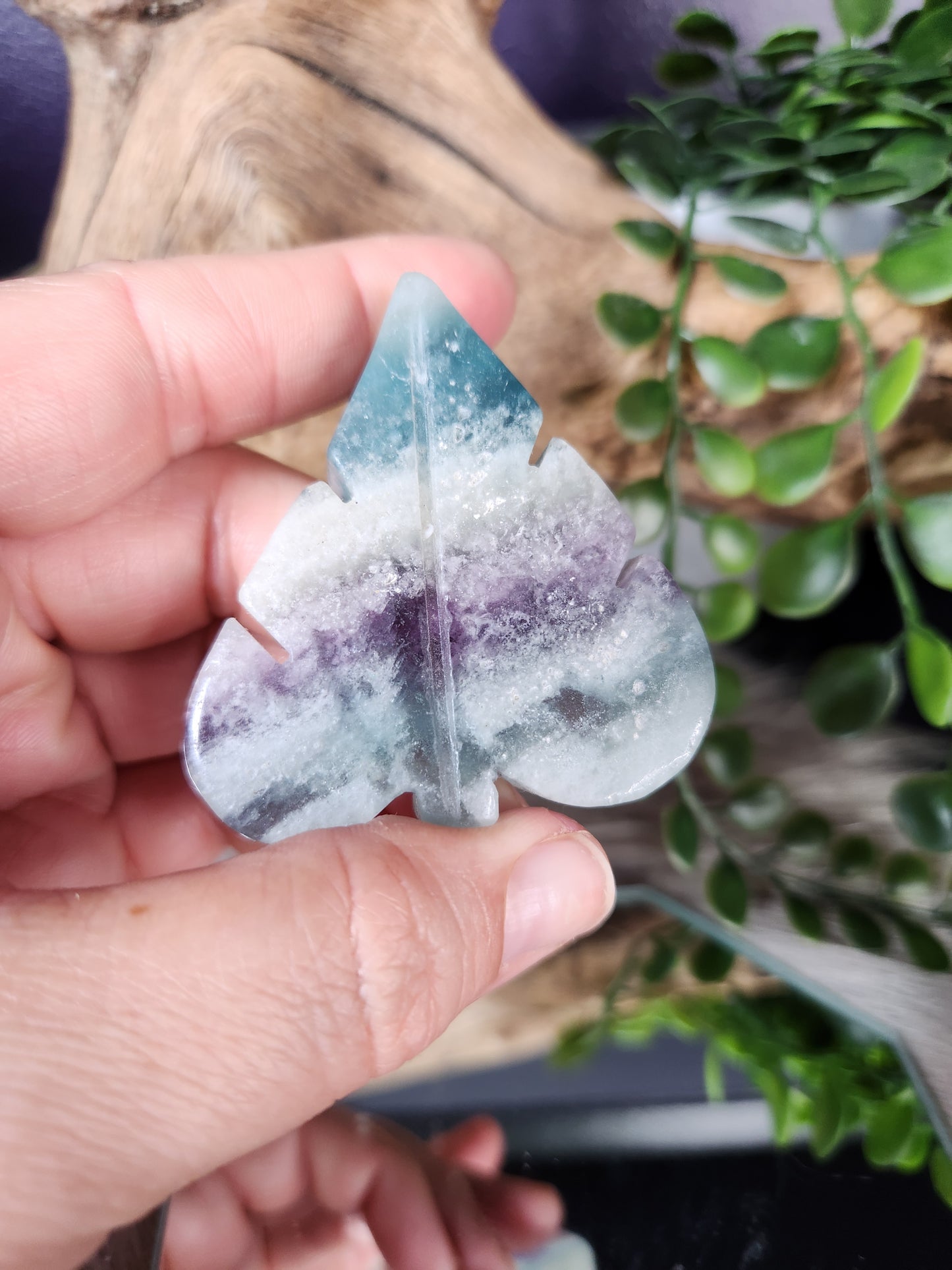 Fluorite | Leaves