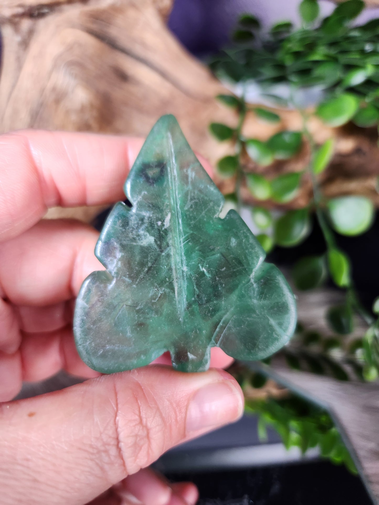 Fluorite | Leaves