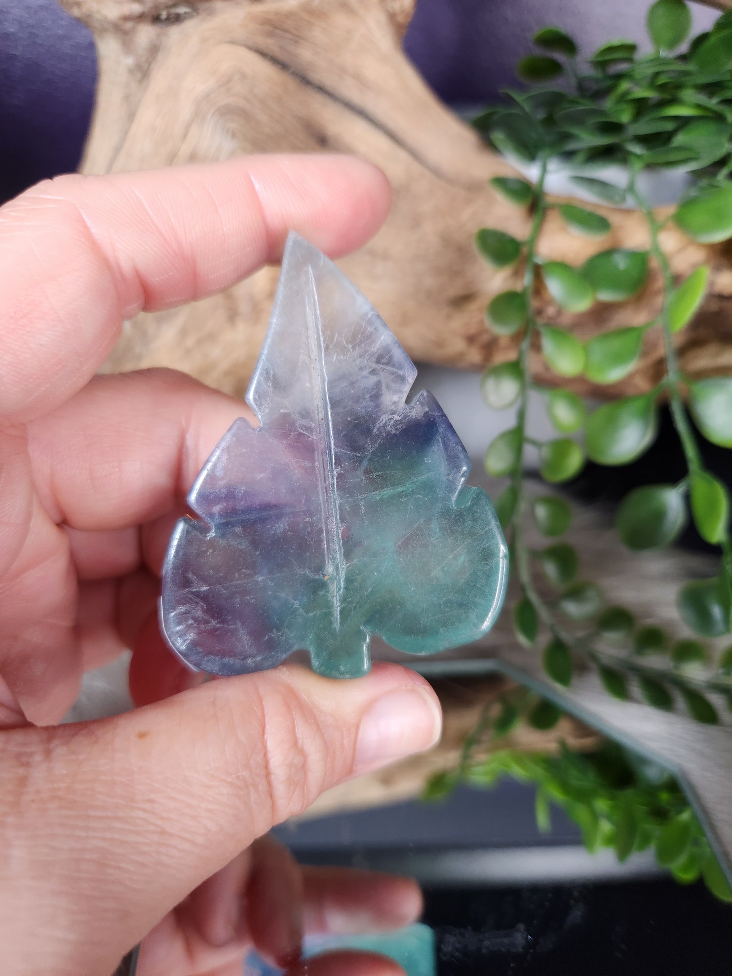 Fluorite | Leaves