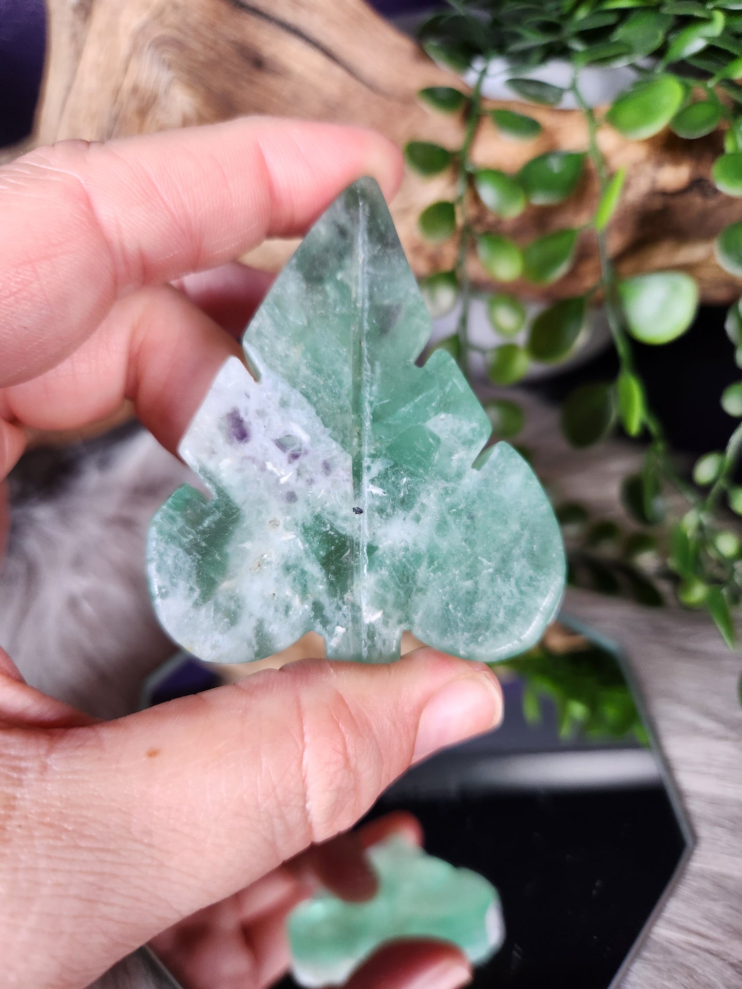 Fluorite | Leaves