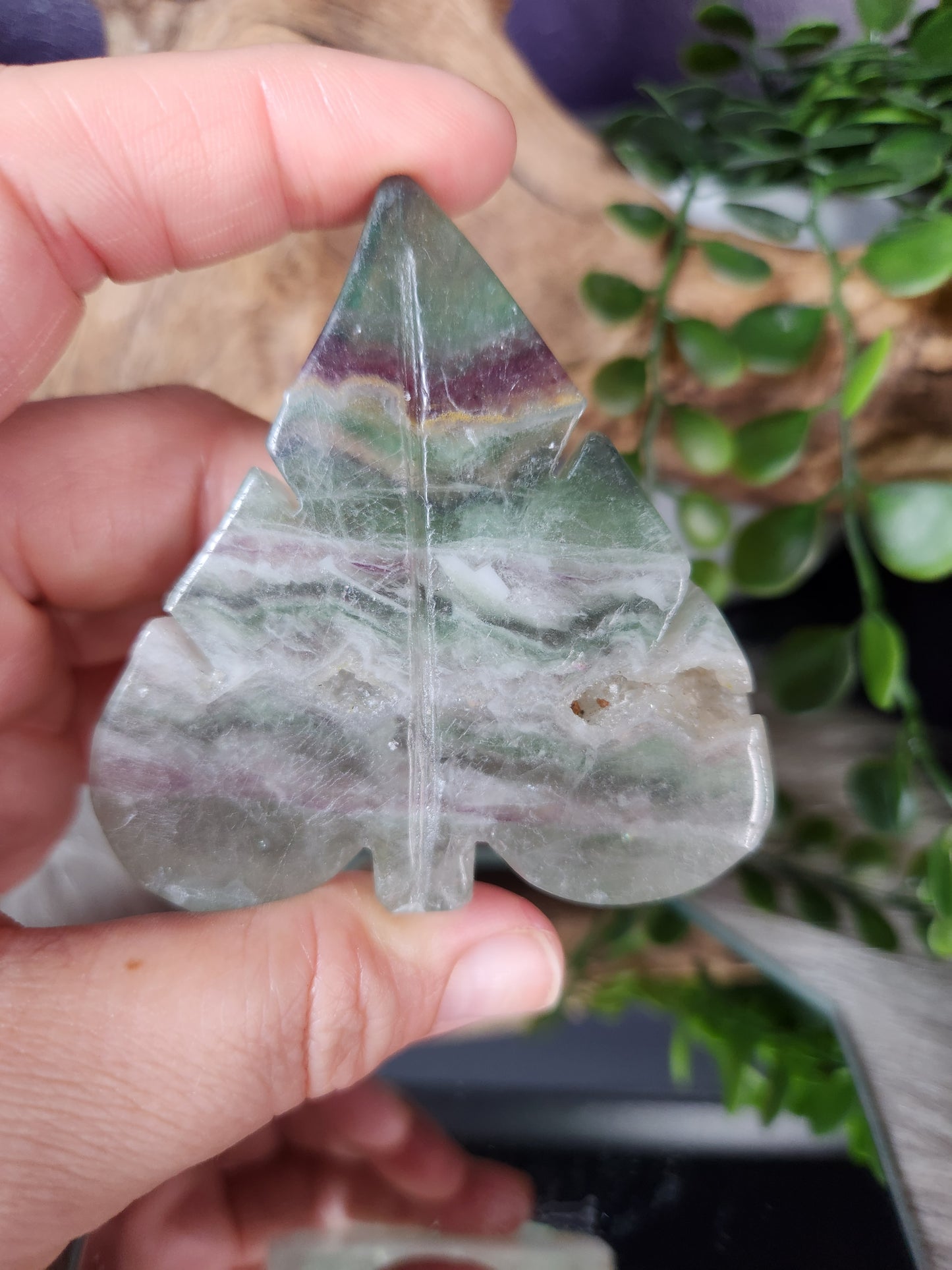 Fluorite | Leaves