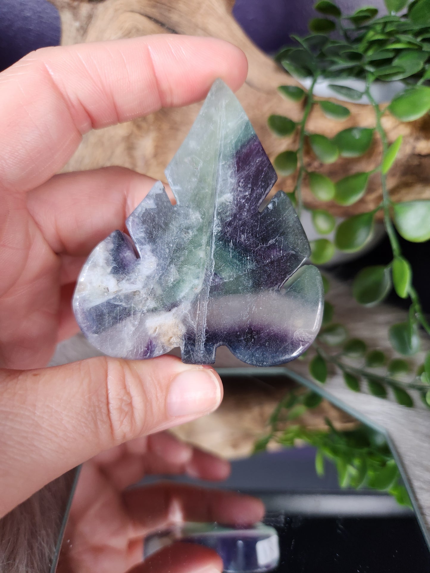 Fluorite | Leaves