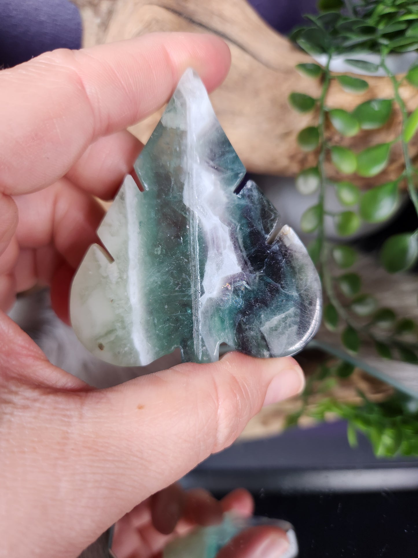 Fluorite | Leaves