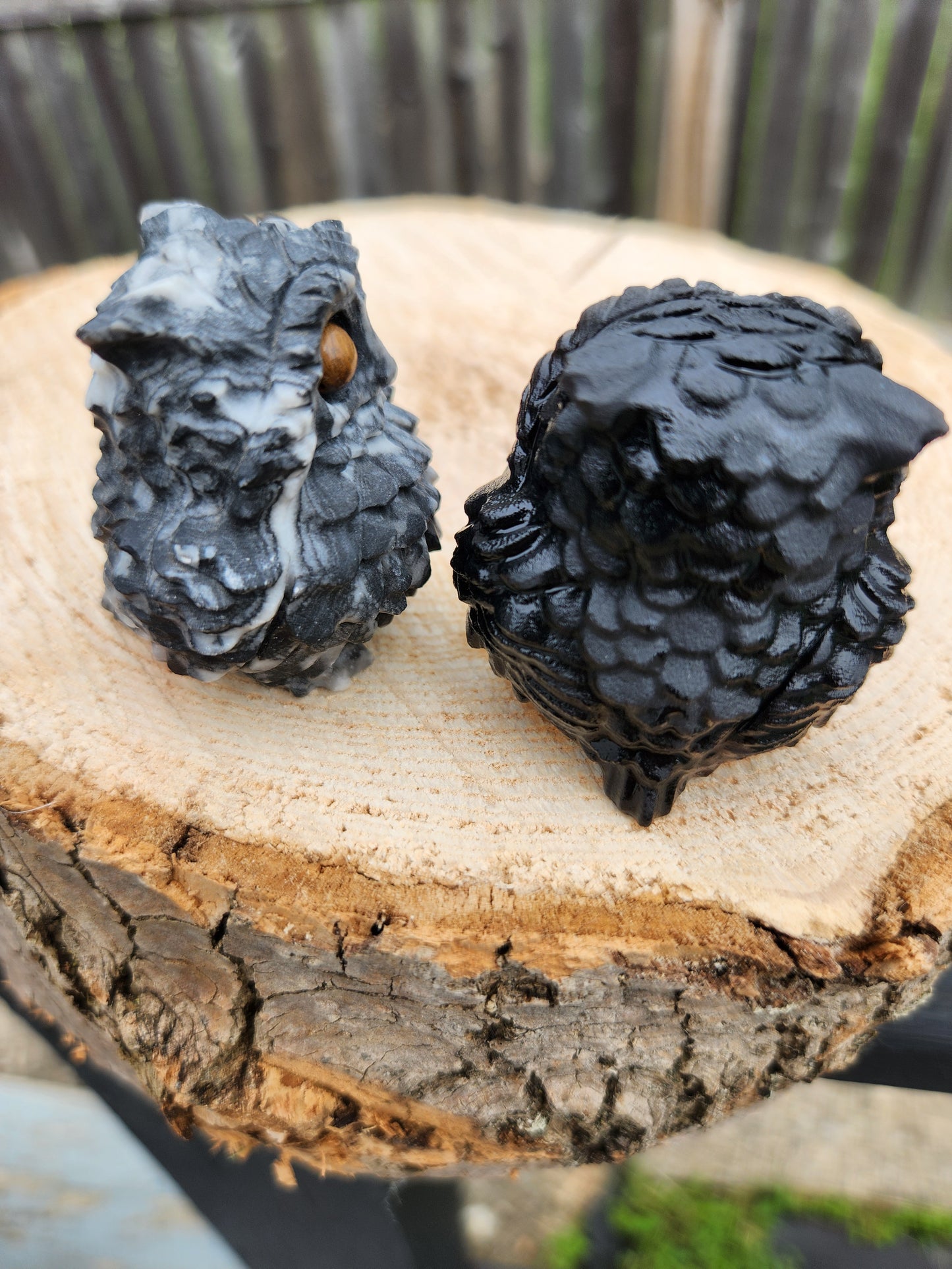 Obsidian & Zebra Jasper | Owls