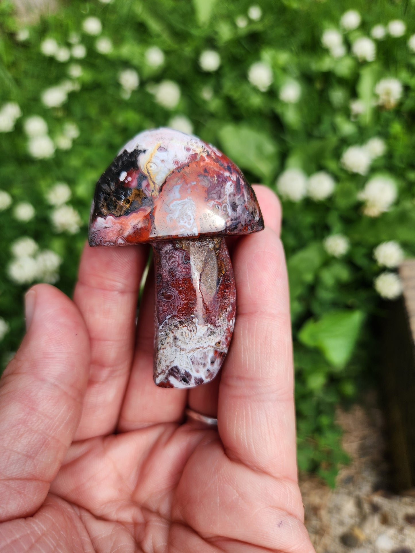 Crazy Lace Agate | Mushrooms