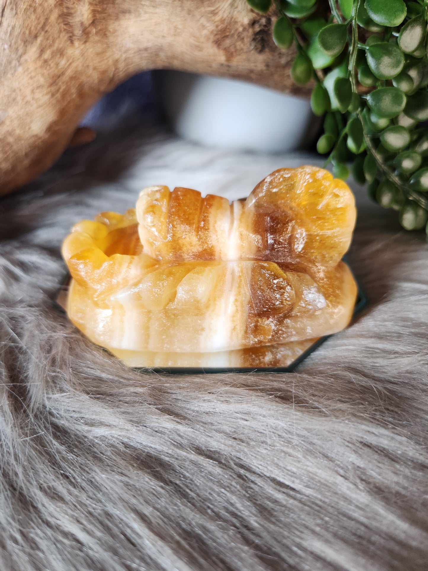 Orange Calcite | Scorpions