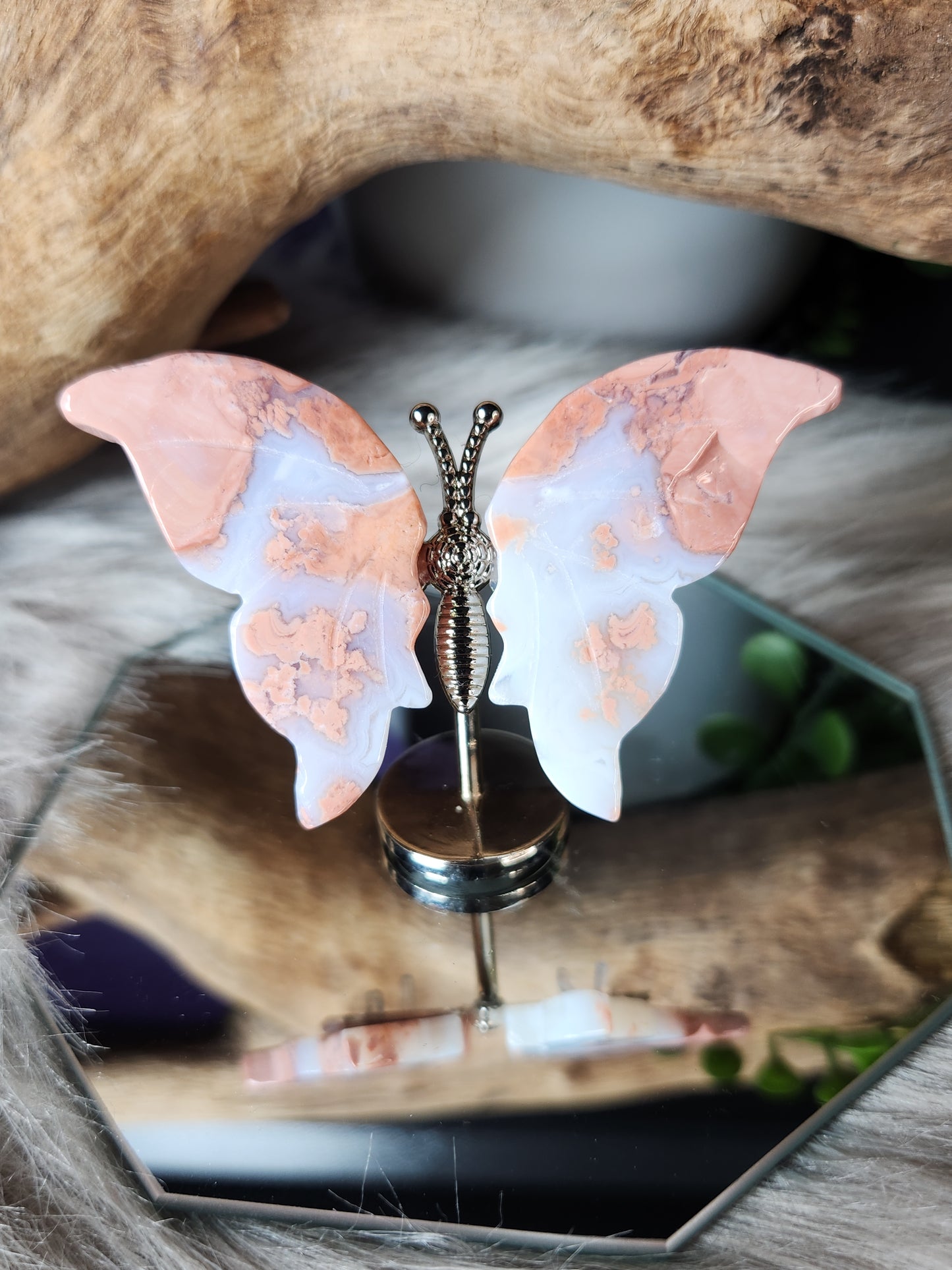 Crystal Wing Butterflies