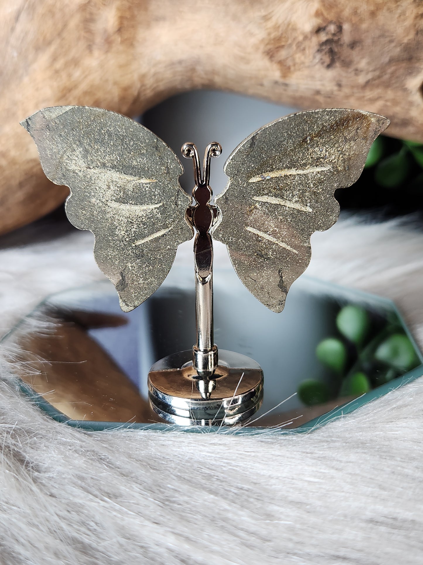 Crystal Wing Butterflies
