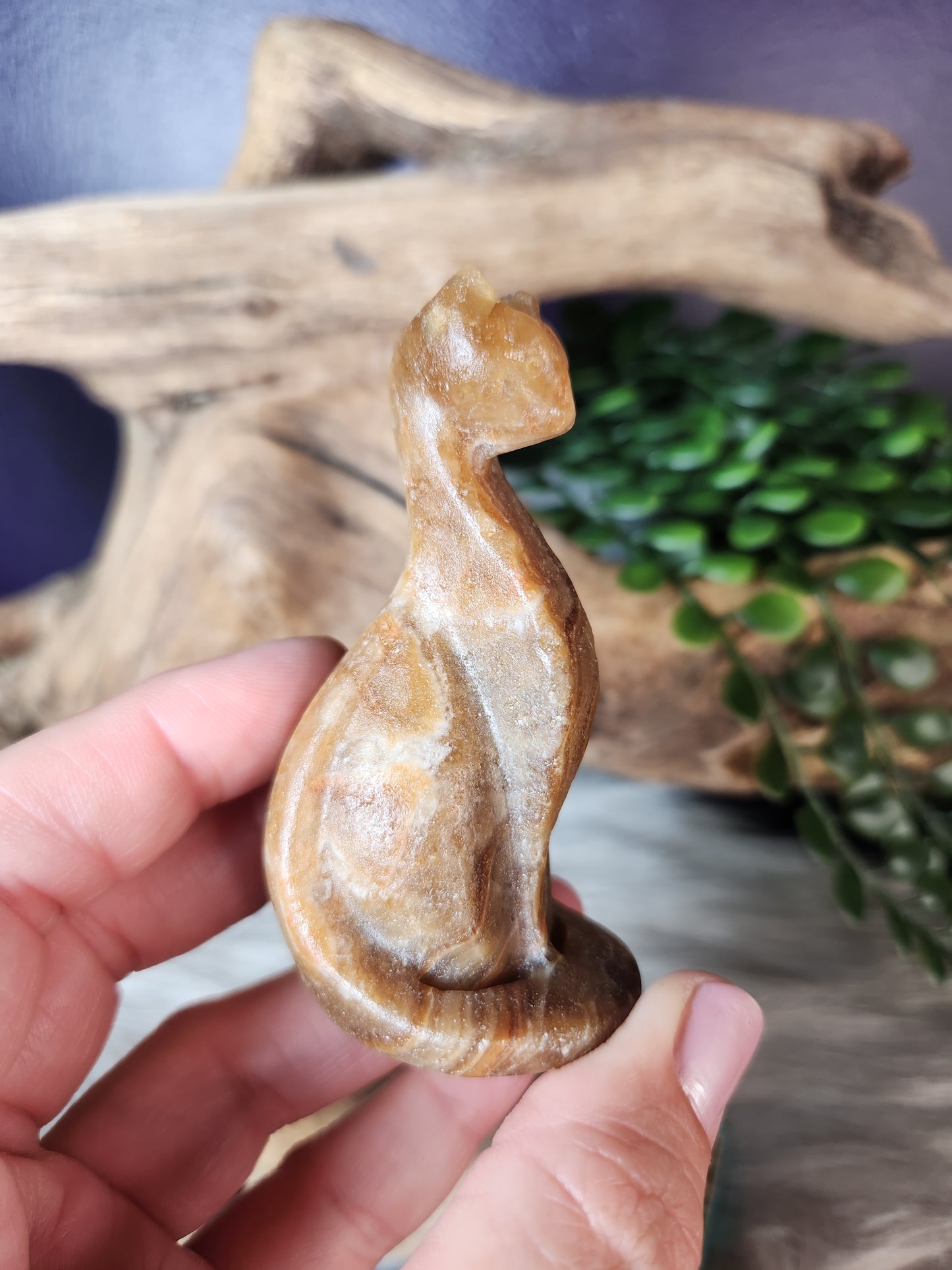 Honey Calcite | Classy Cat