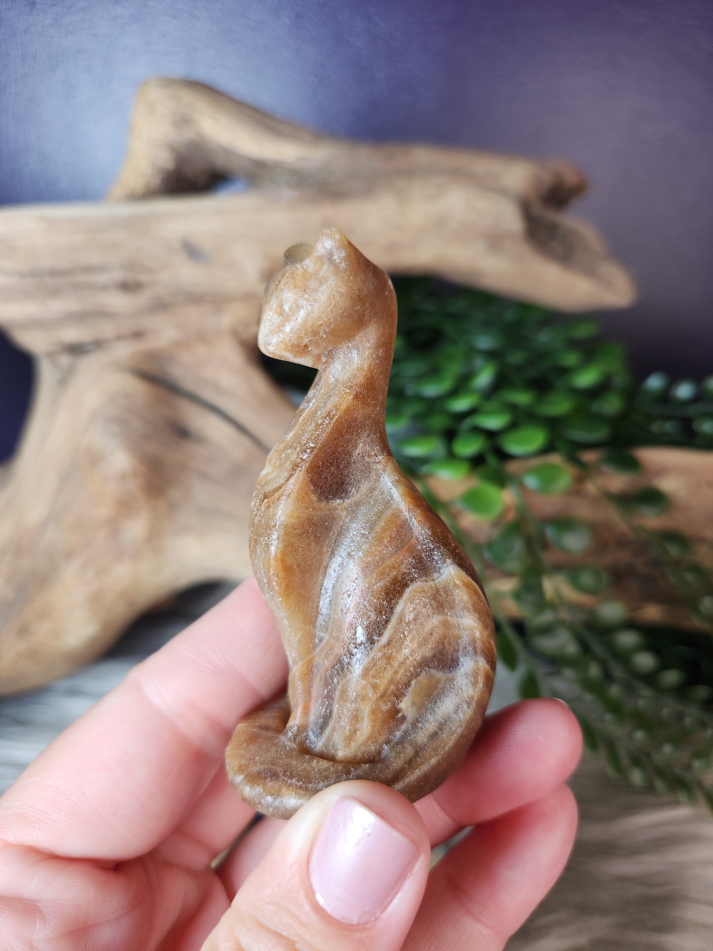 Honey Calcite | Classy Cat