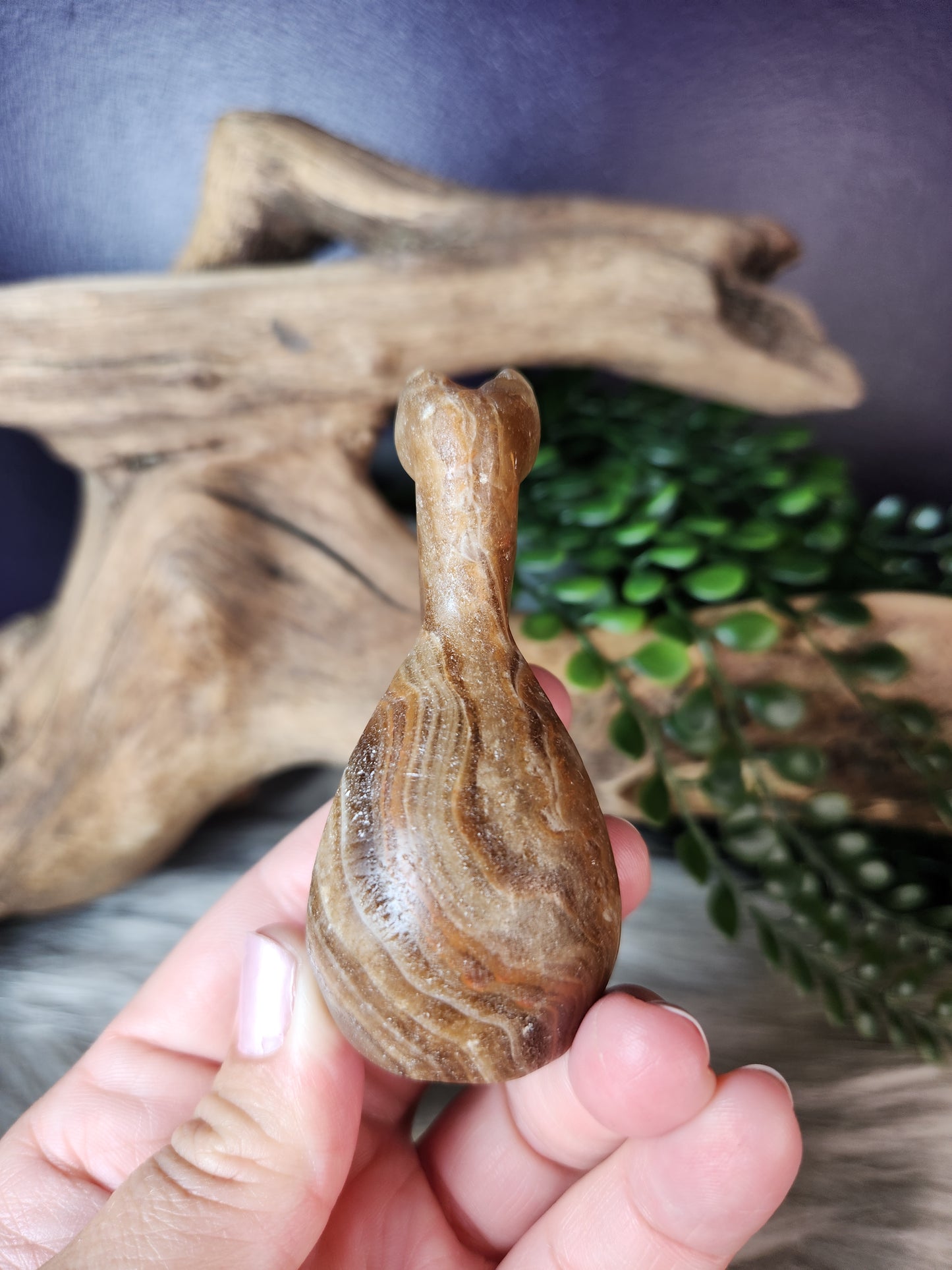 Honey Calcite | Classy Cat