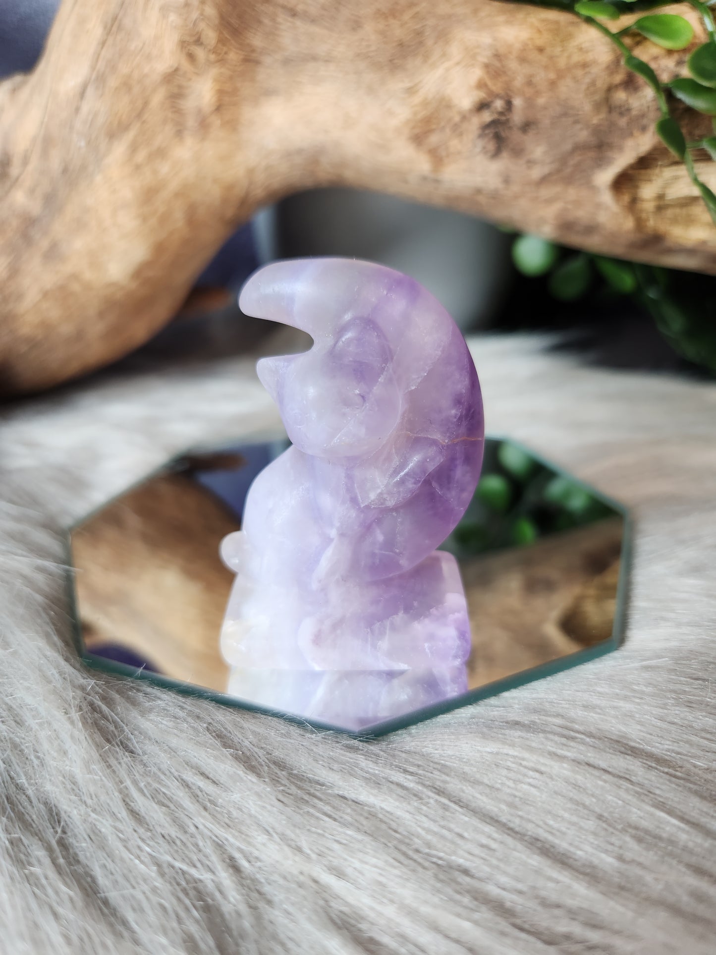 Lunar Love Kitten Carvings