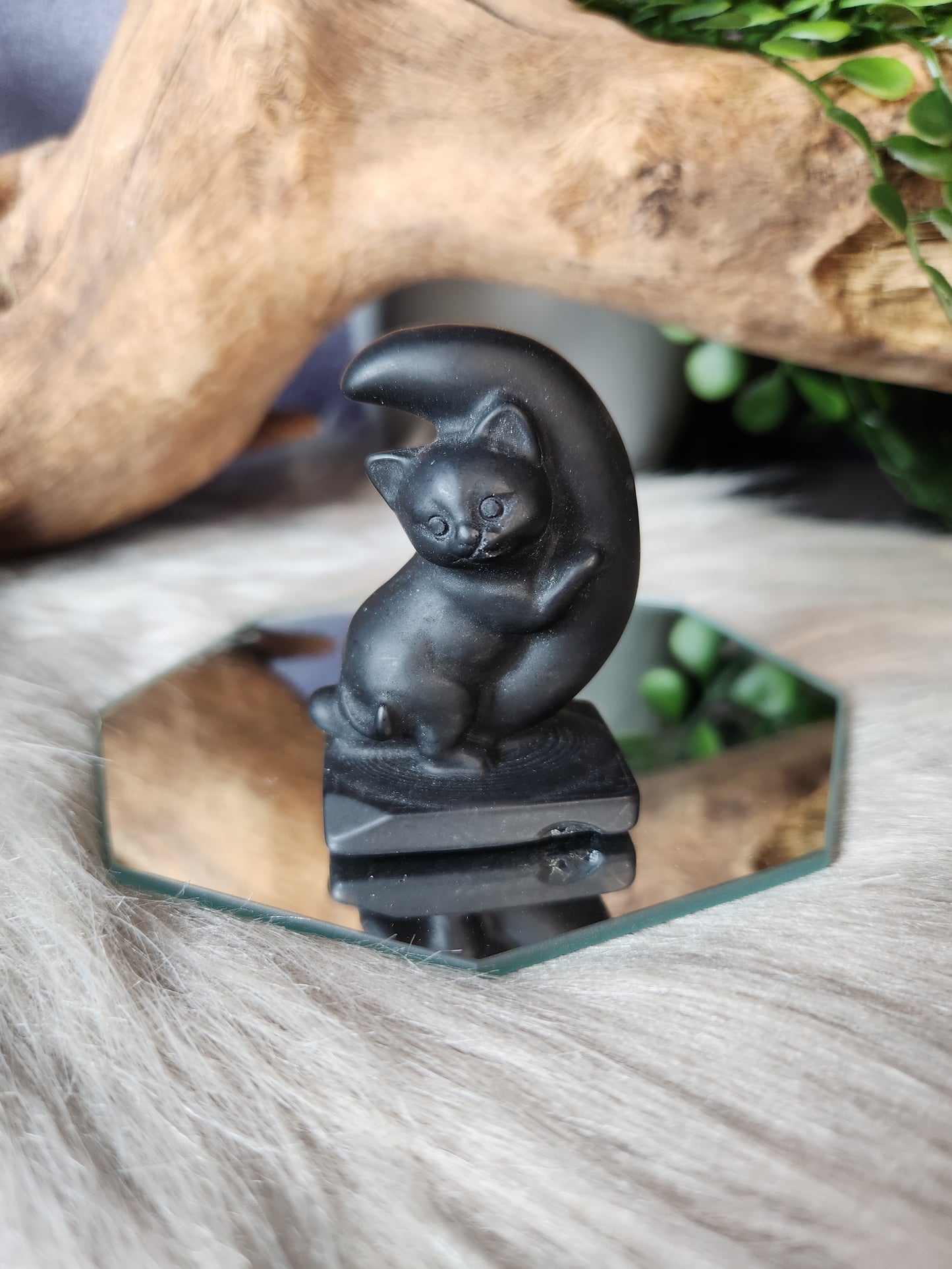 Lunar Love Kitten Carvings