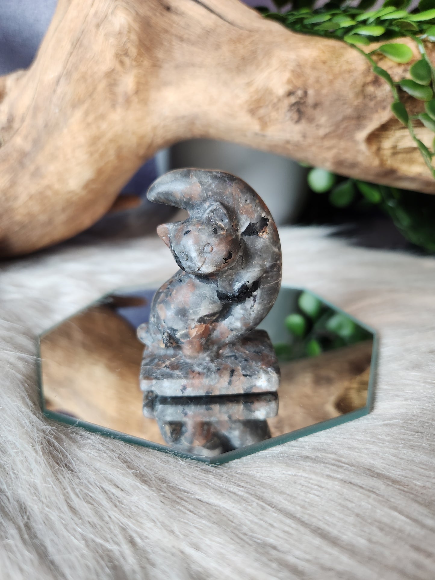 Lunar Love Kitten Carvings