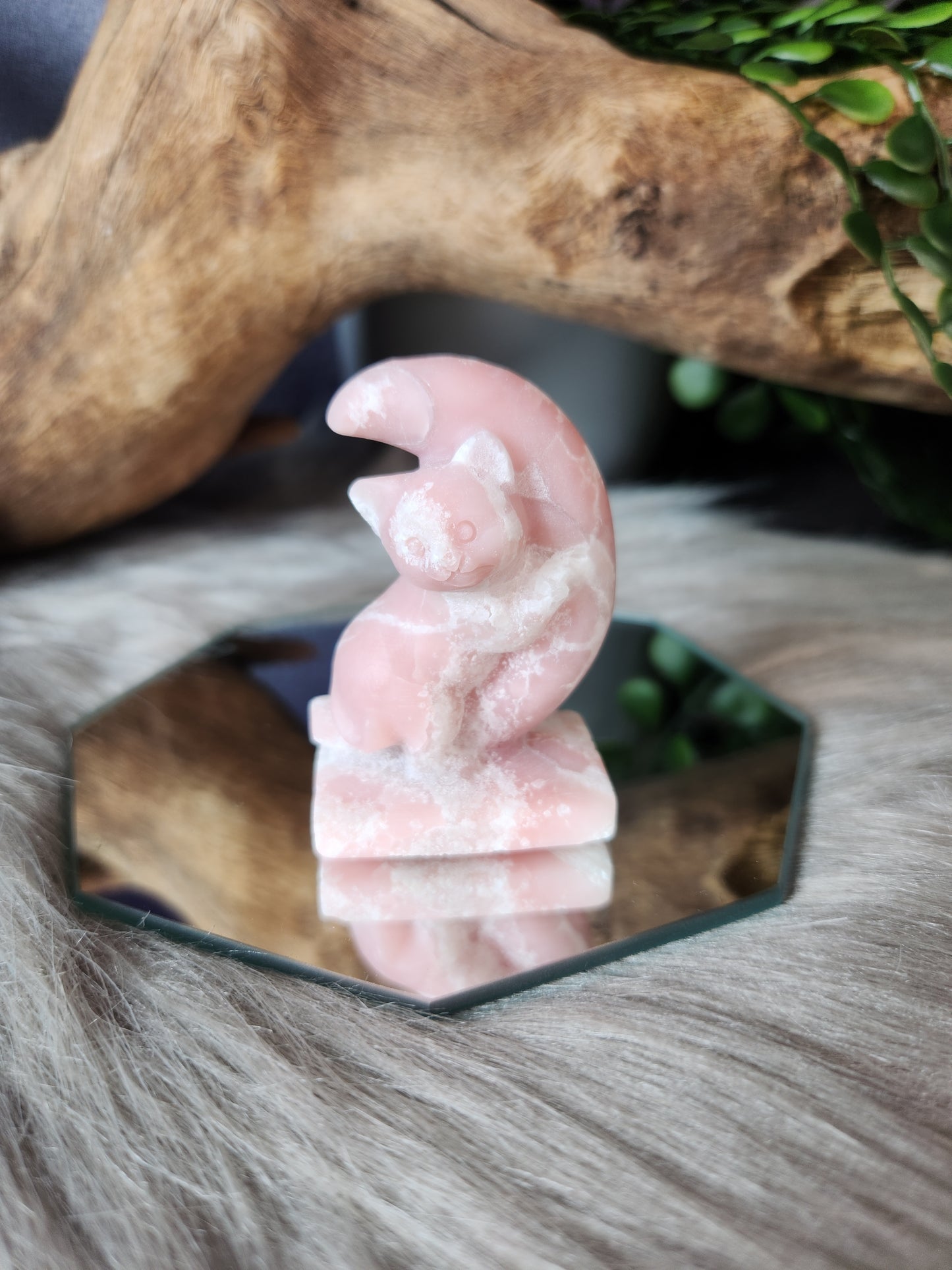 Lunar Love Kitten Carvings