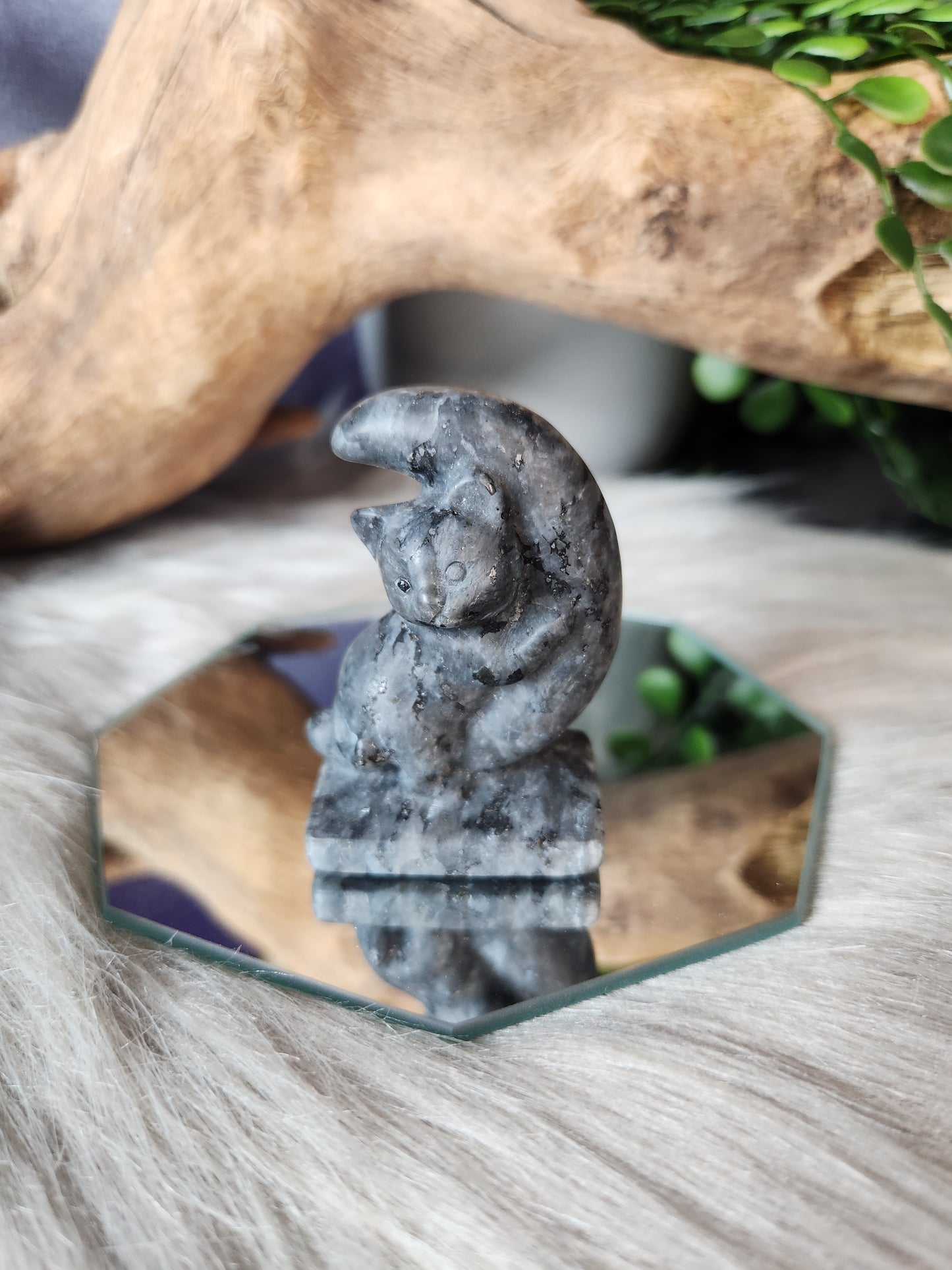 Lunar Love Kitten Carvings