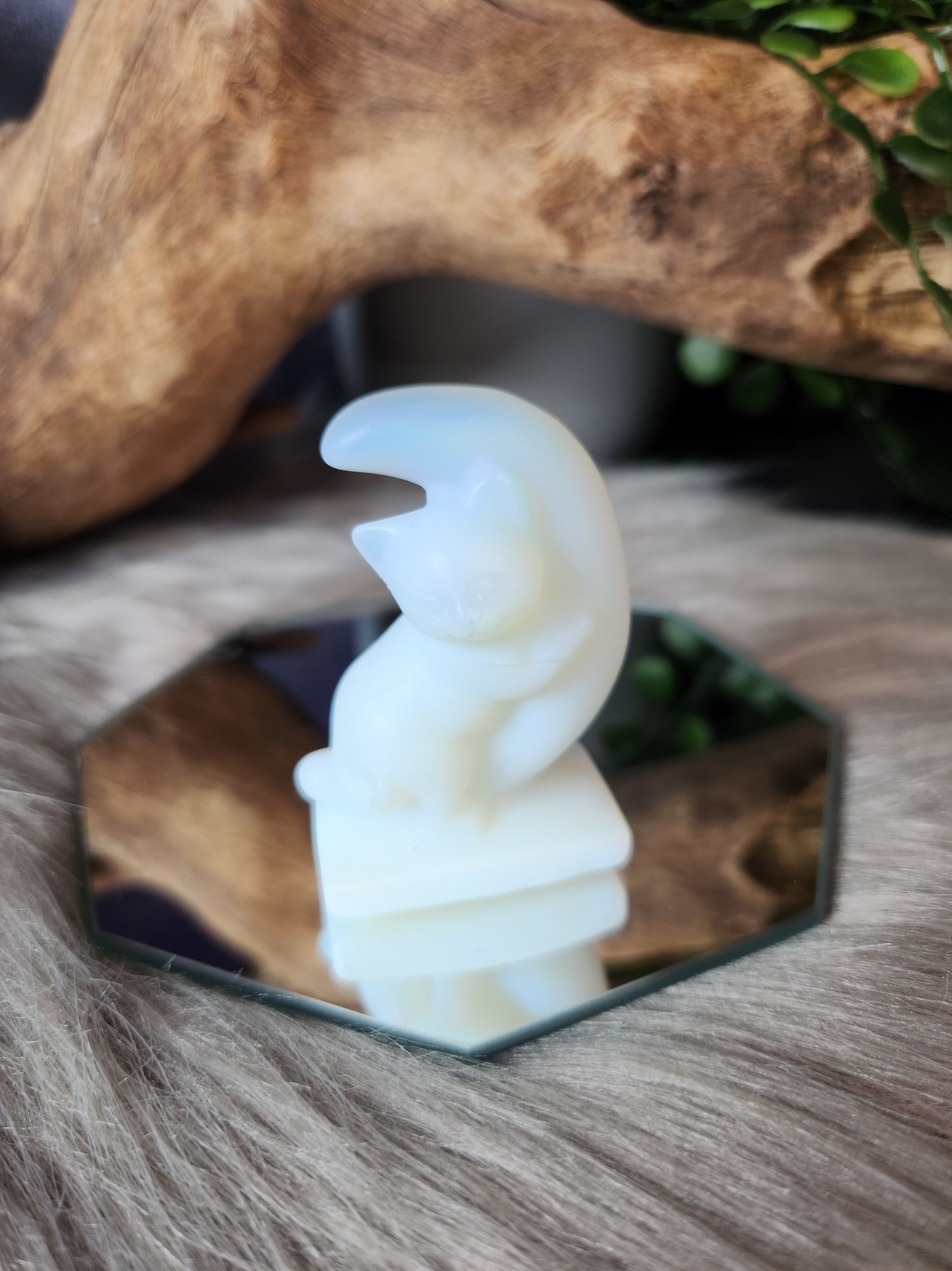 Lunar Love Kitten Carvings