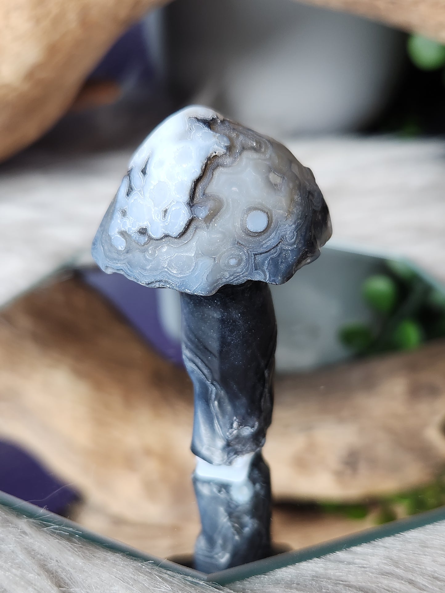 Gobi Agate | Shroomies