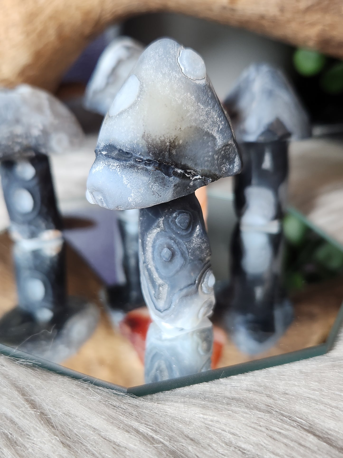 Gobi Agate | Shroomies