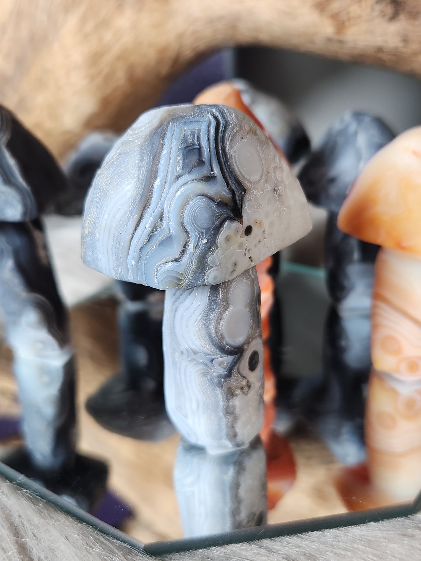 Gobi Agate | Shroomies