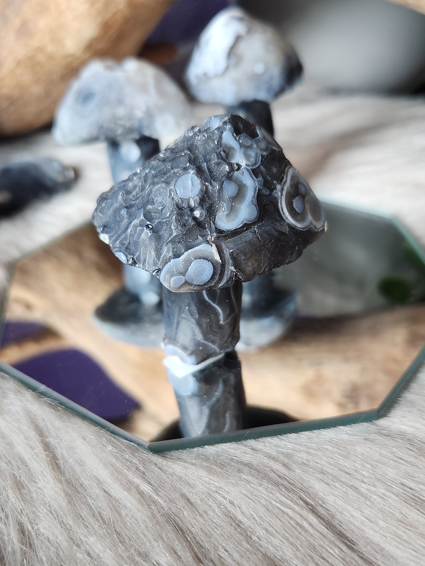 Gobi Agate | Shroomies