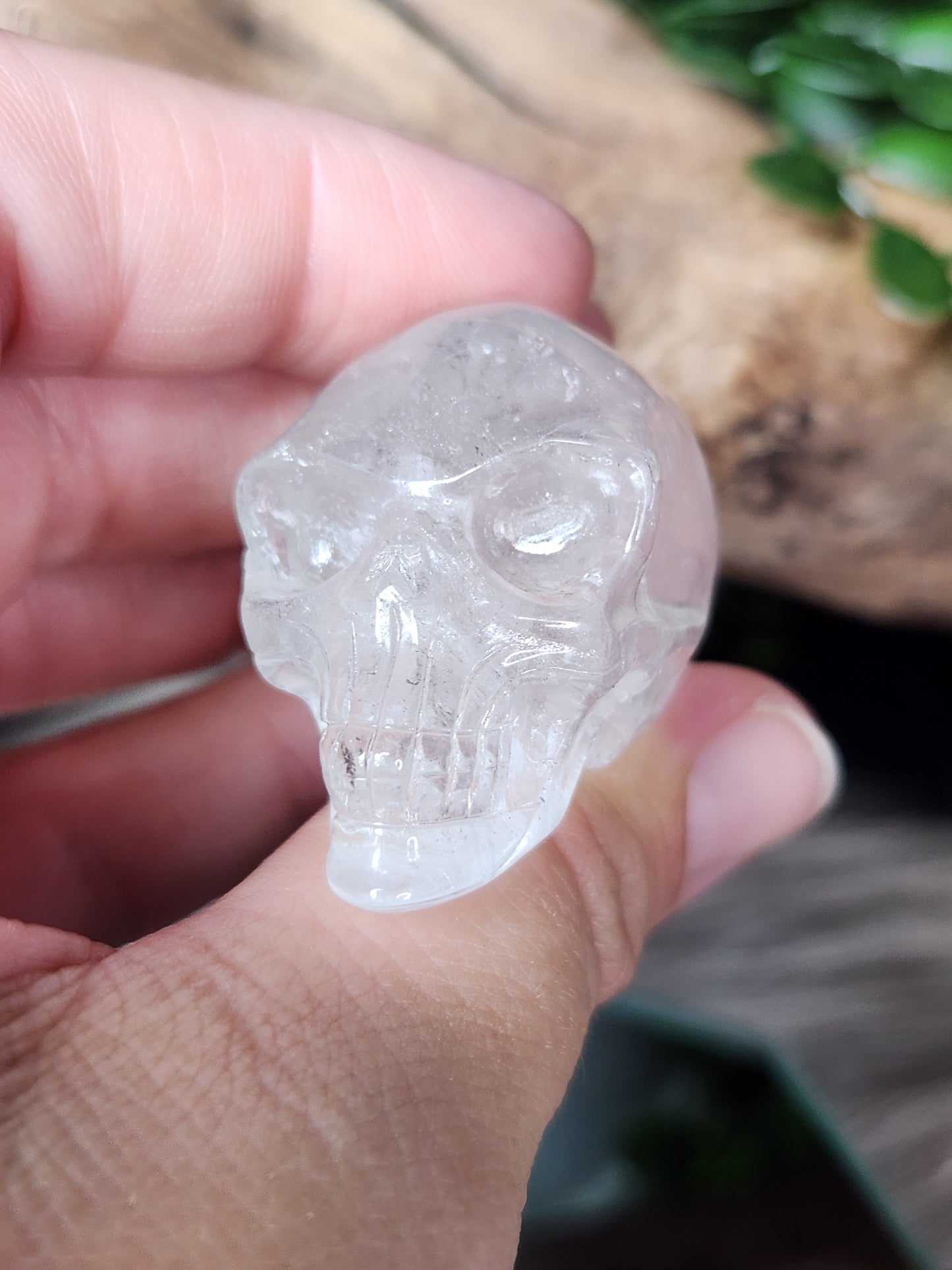Clear Quartz | Alien Skull
