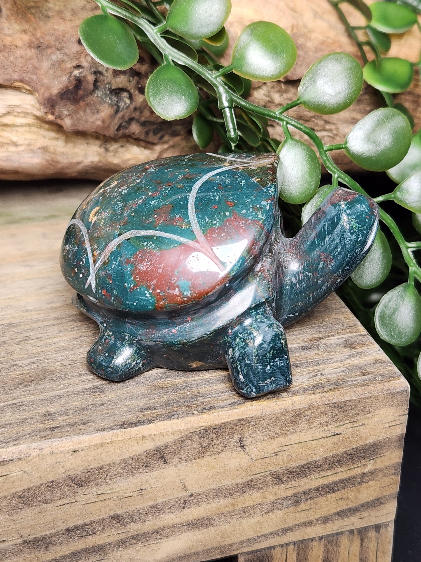 Ocean Jasper | Turtles