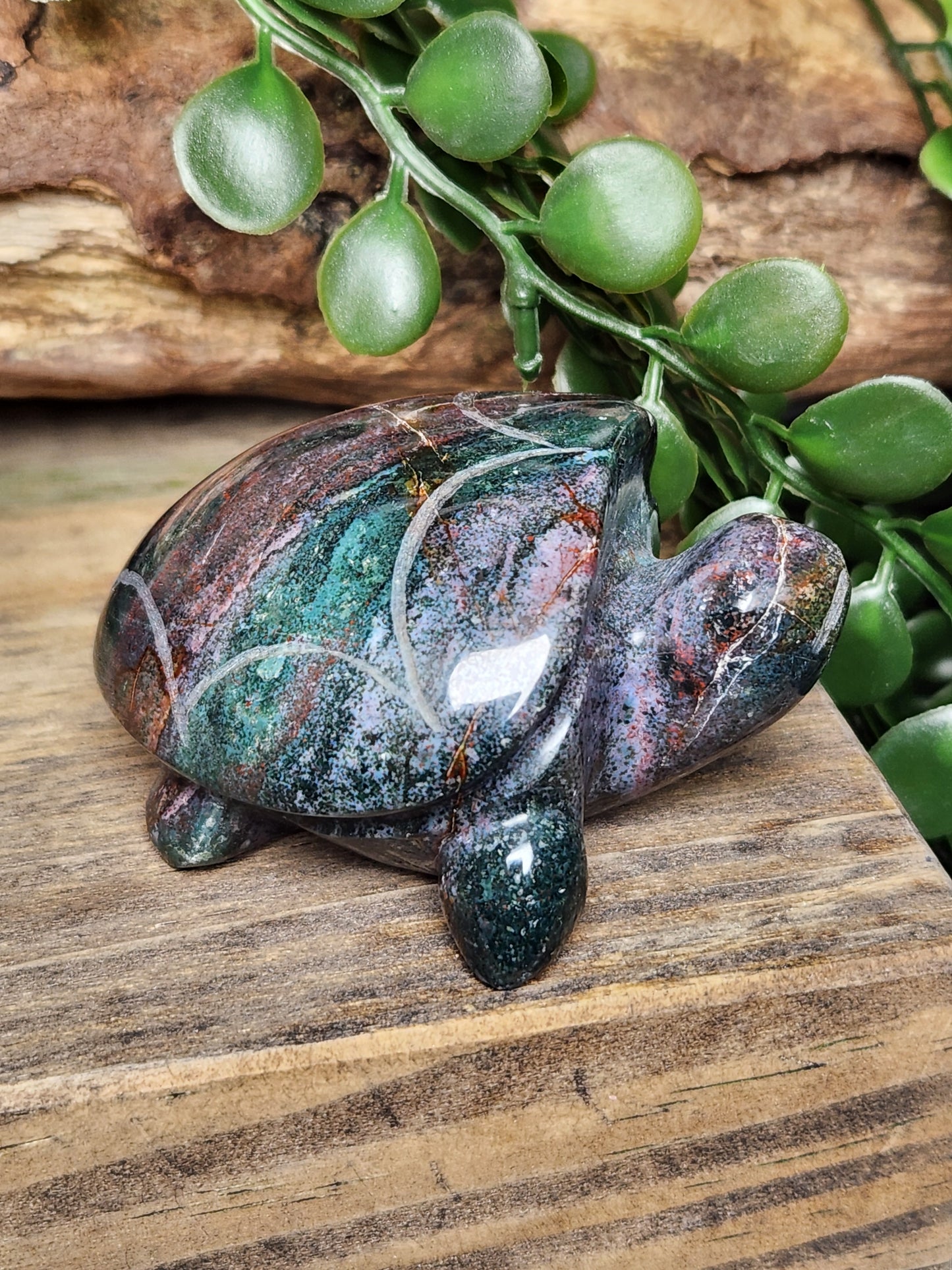 Ocean Jasper | Turtles