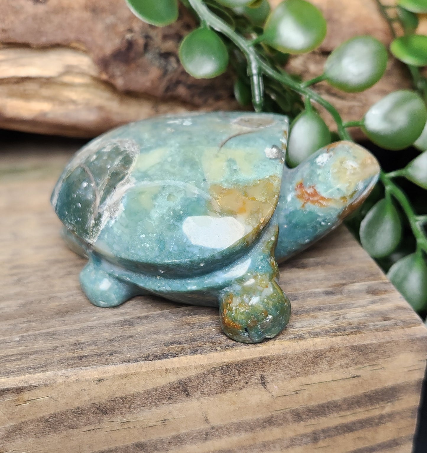 Ocean Jasper | Turtles
