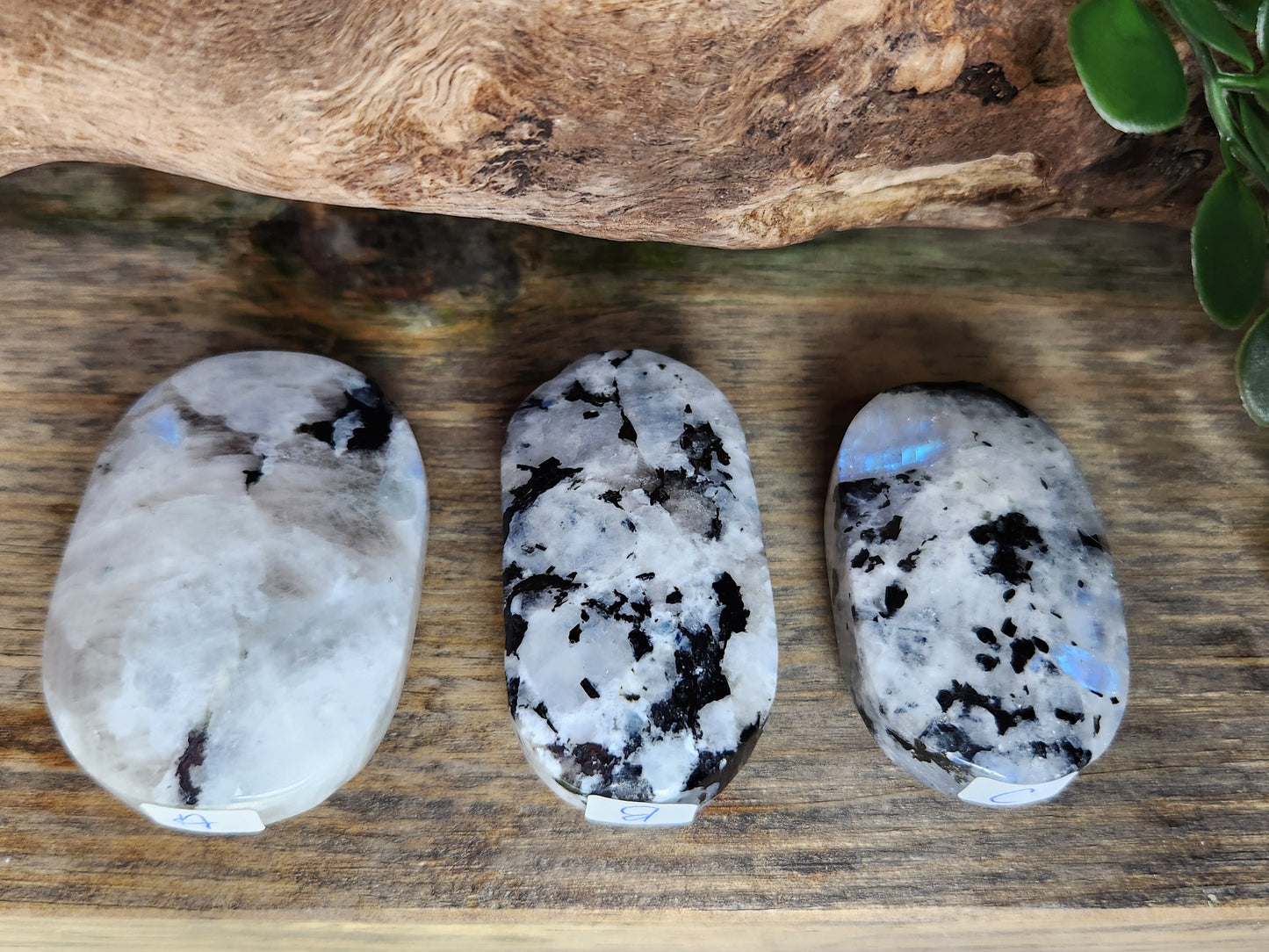 Rainbow Moonstone | Palm Stones