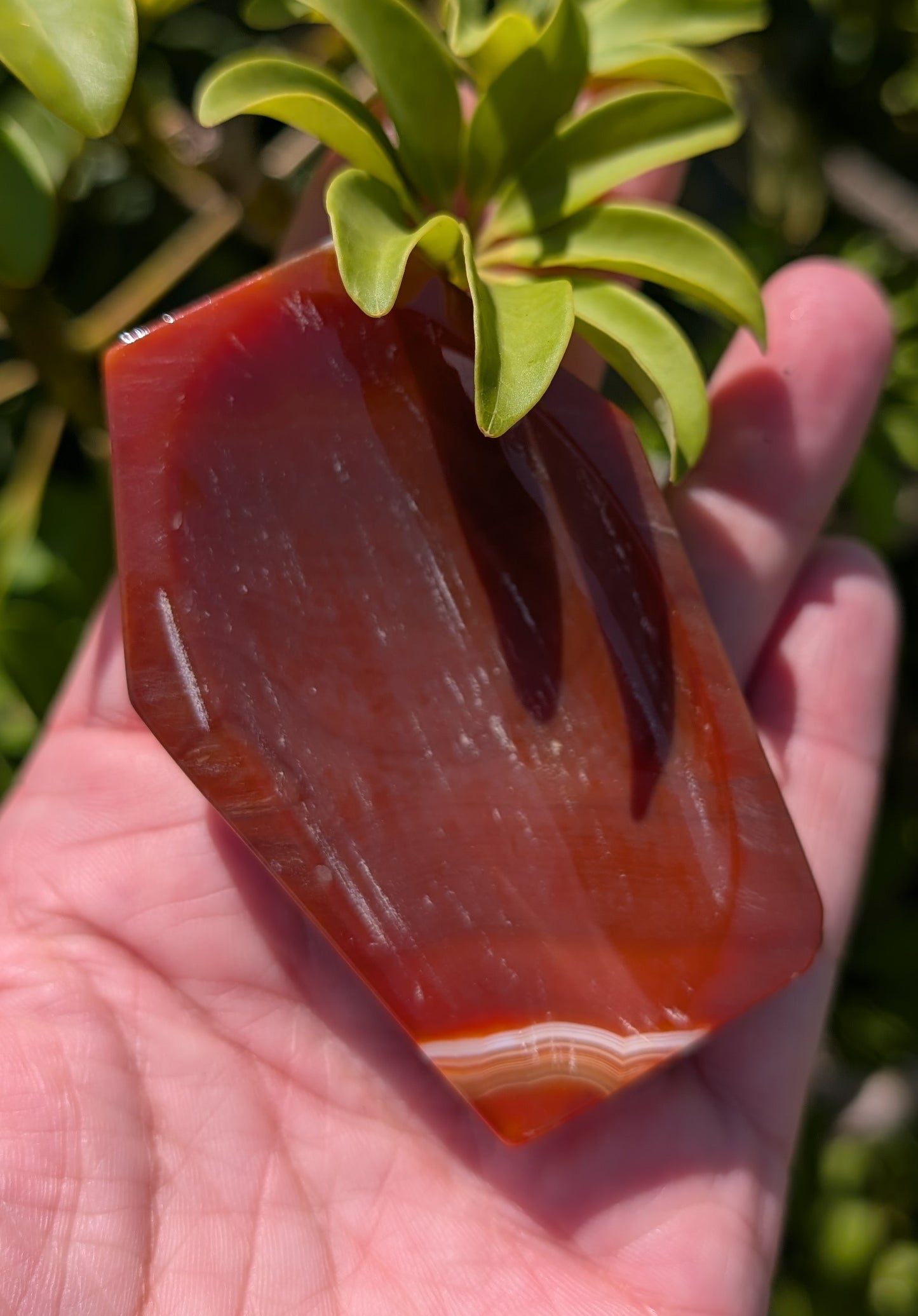 Carnelian | Bowls