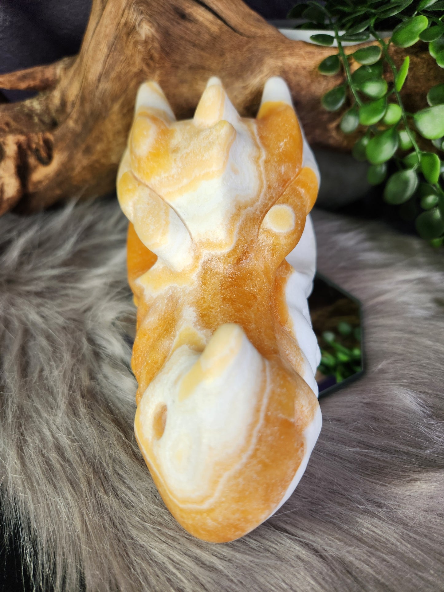 Orange Calcite | Large Dragon Skull