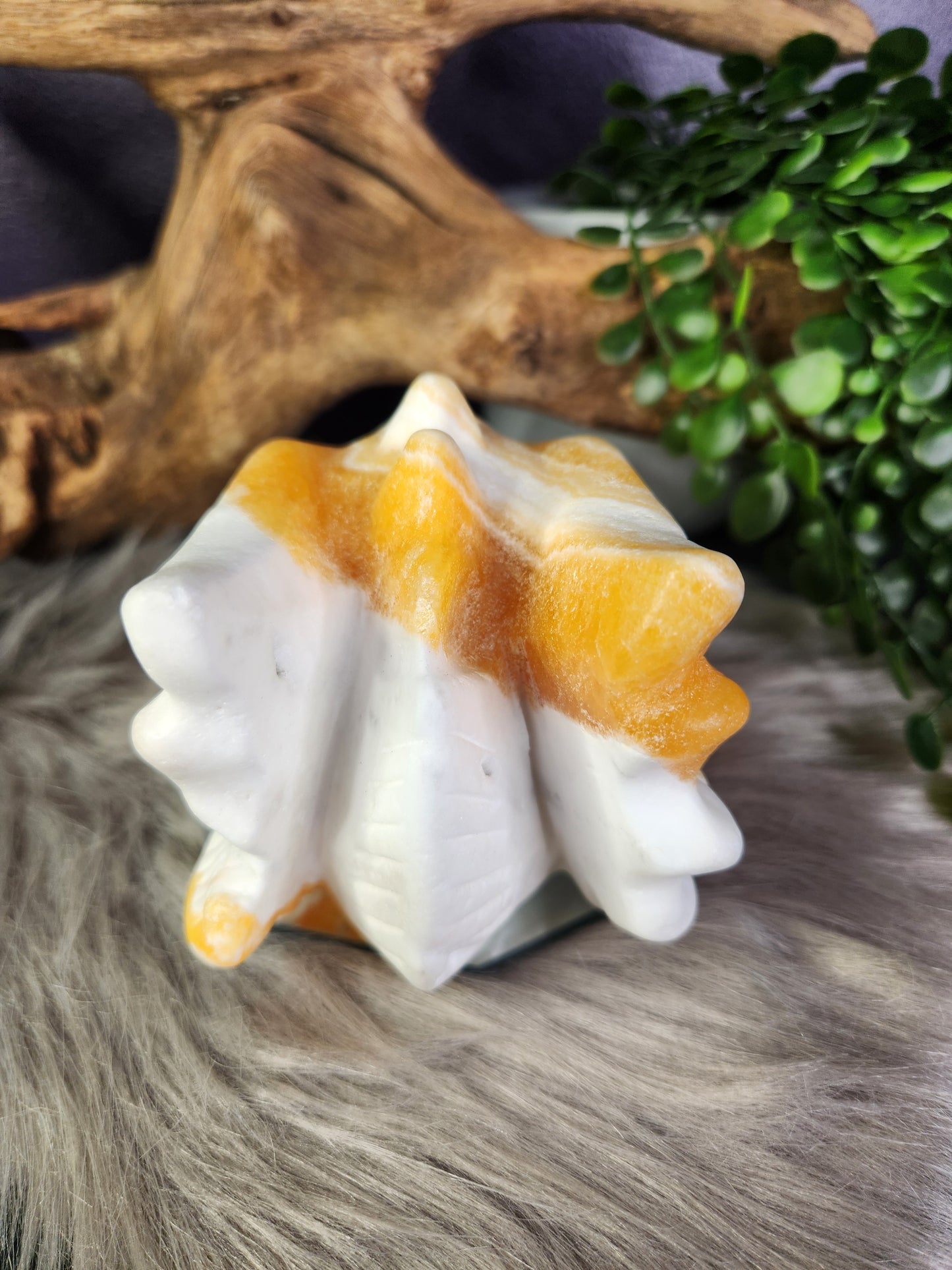 Orange Calcite | Large Dragon Skull