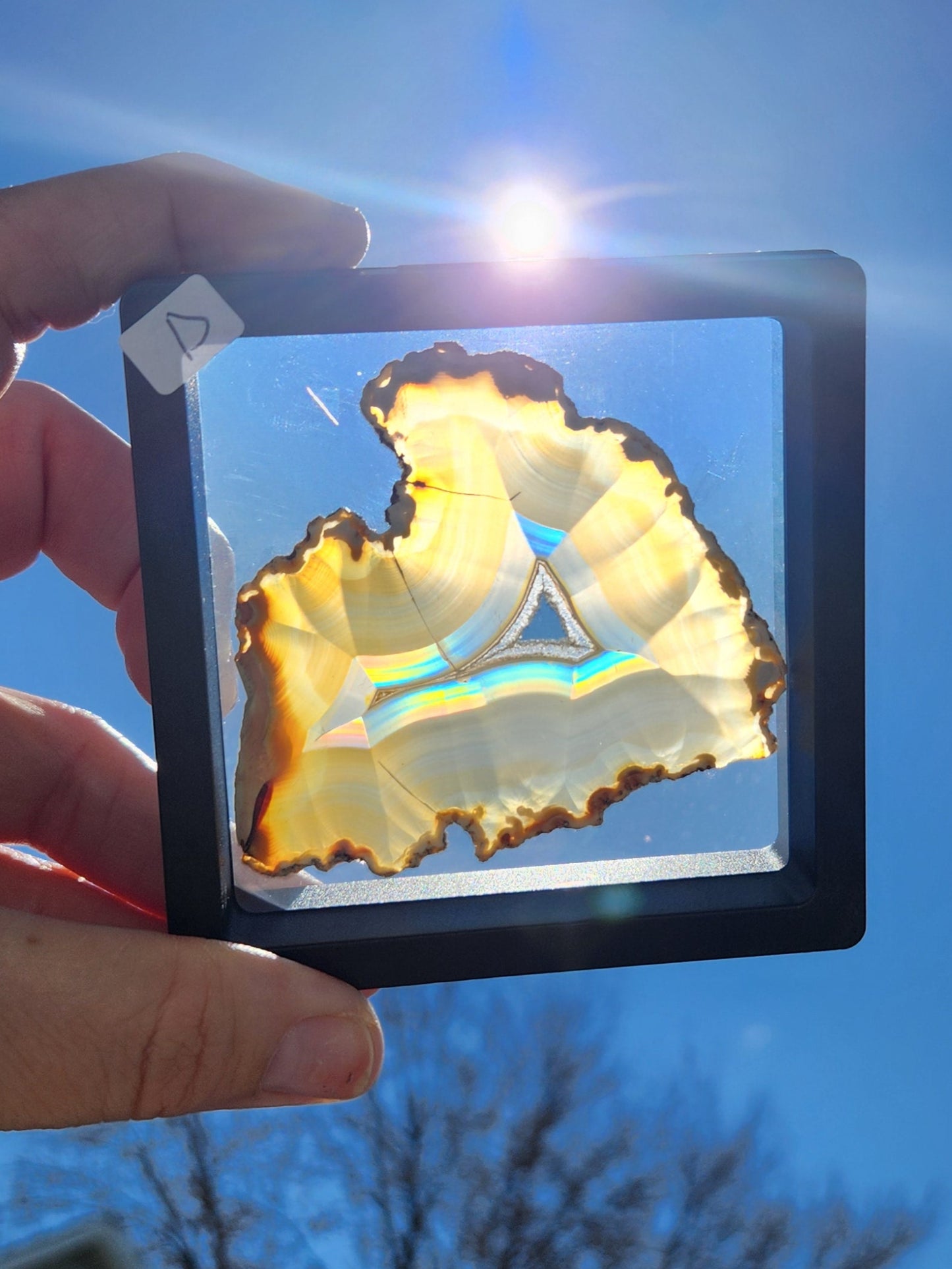 Iris Agate Slices | Indonesia
