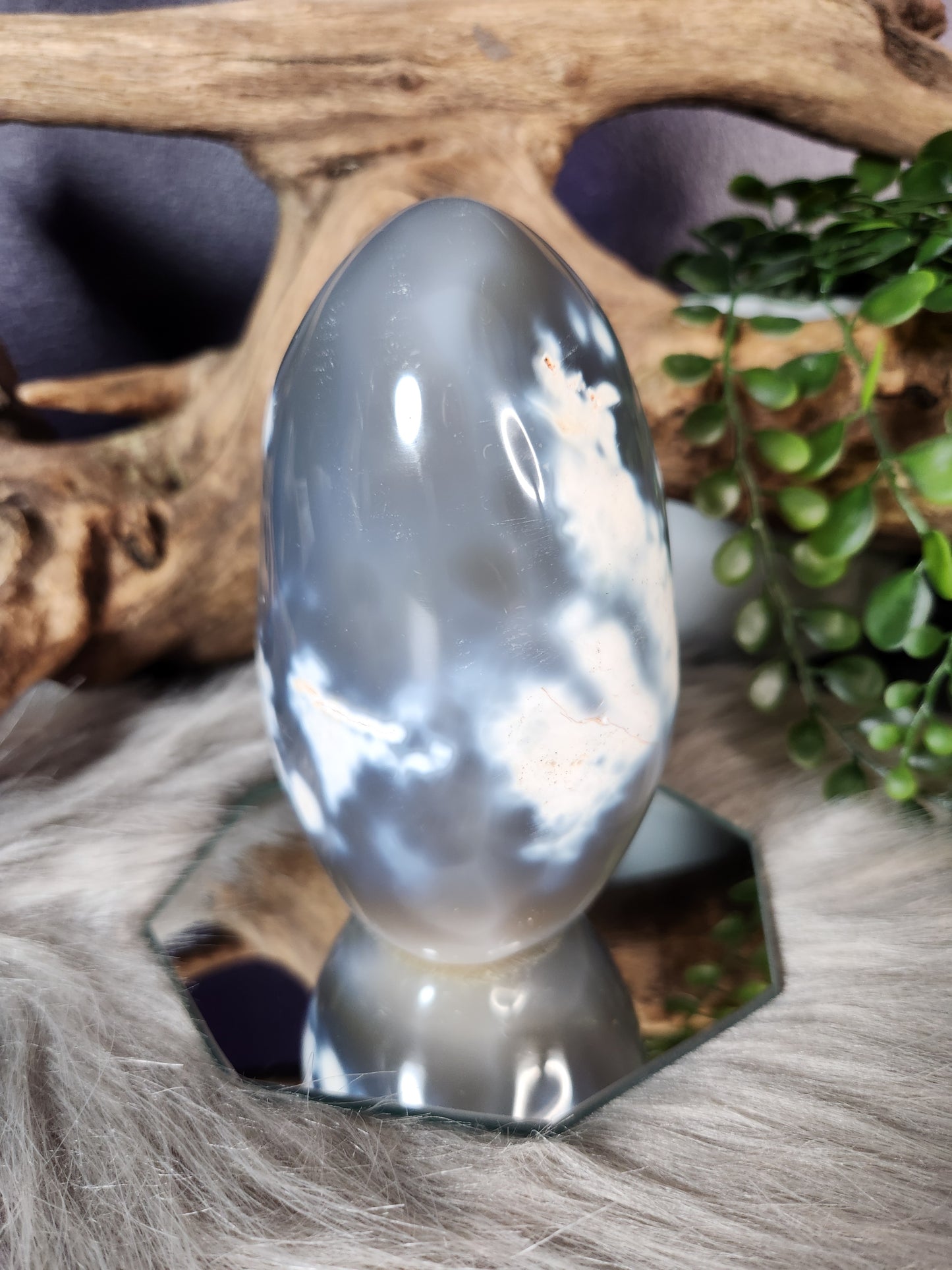 Orca Agate | Free Forms