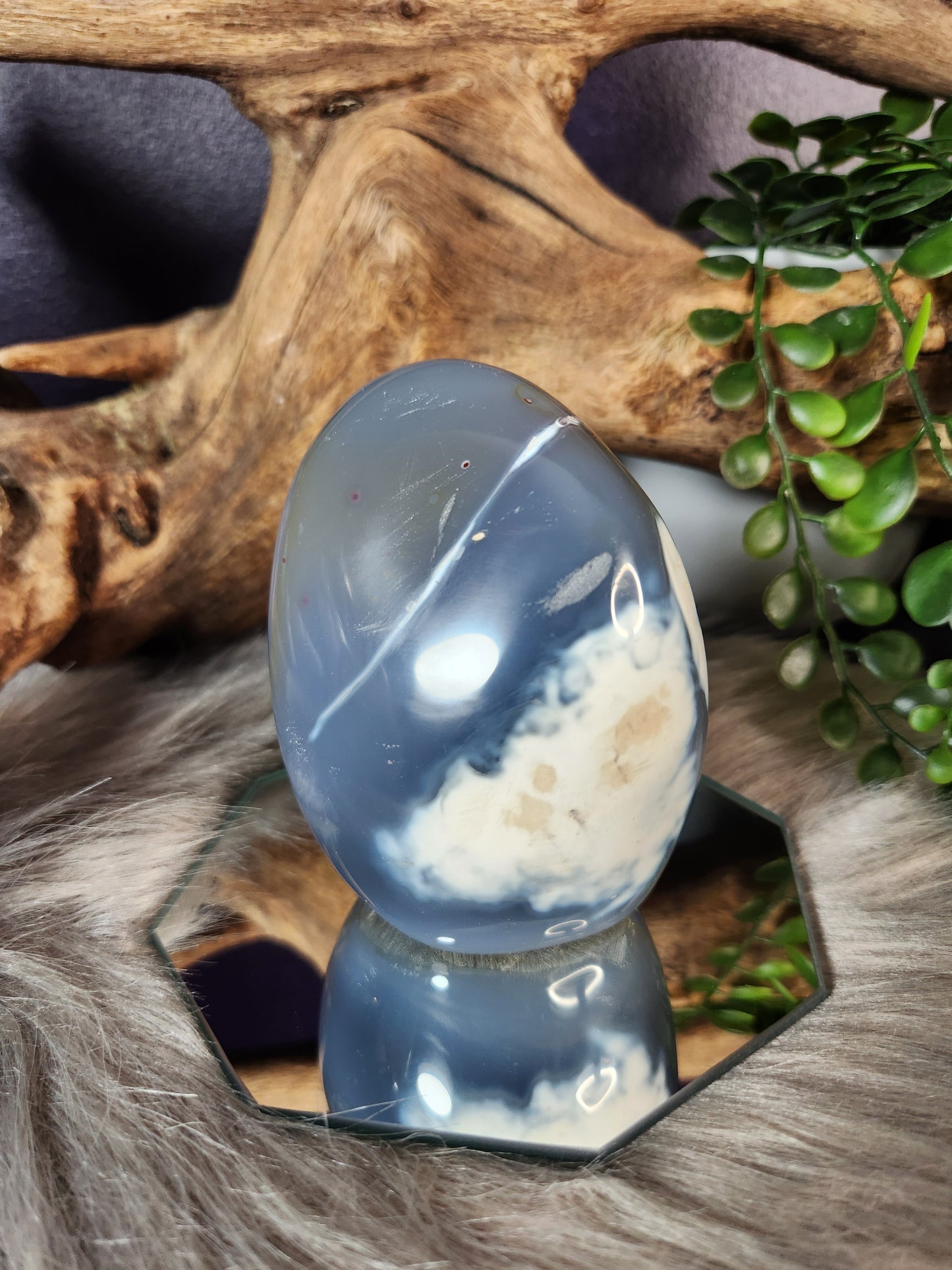 Orca Agate | Free Forms