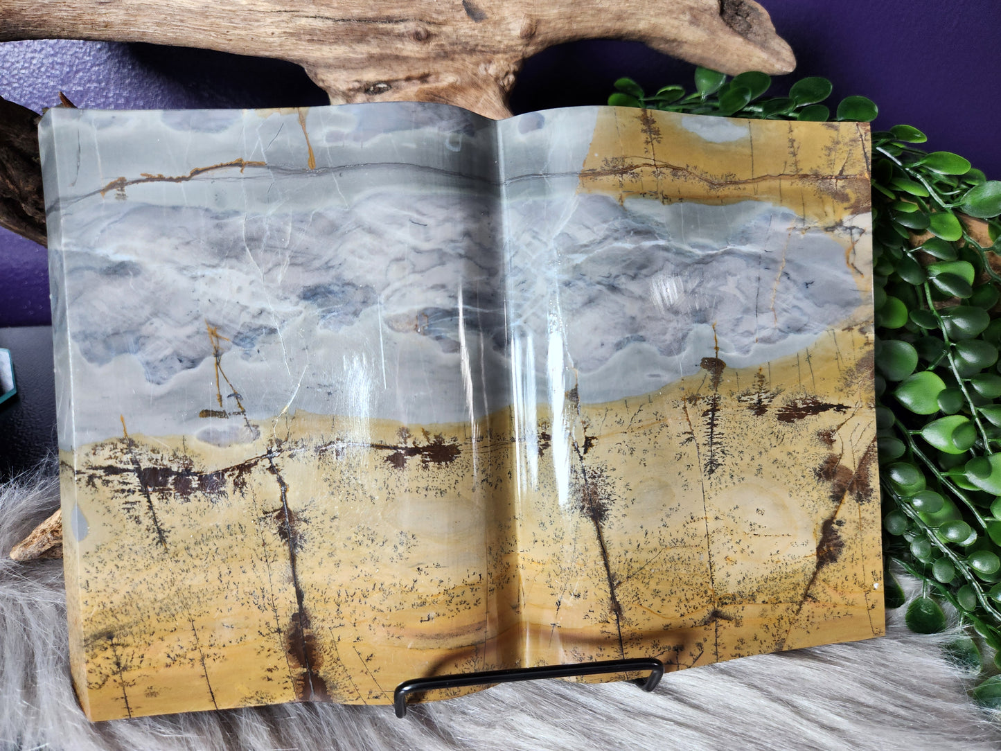 Picture Jasper | XL Books