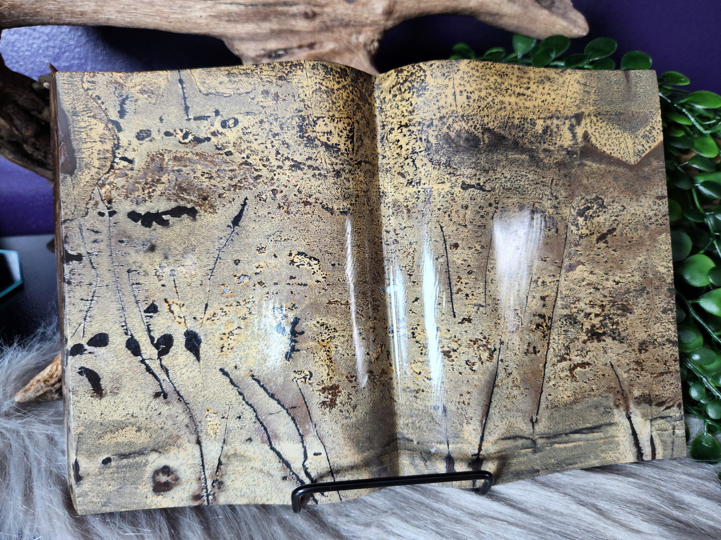 Picture Jasper | XL Books
