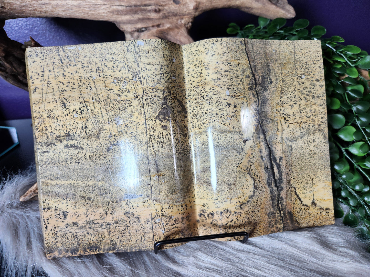 Picture Jasper | XL Books