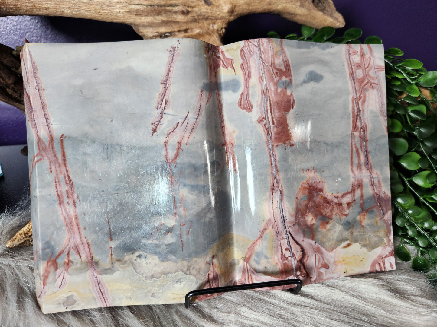 Picture Jasper | XL Books