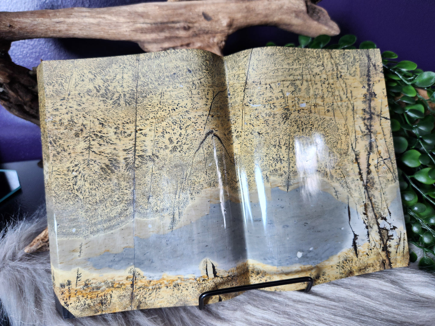 Picture Jasper | XL Books
