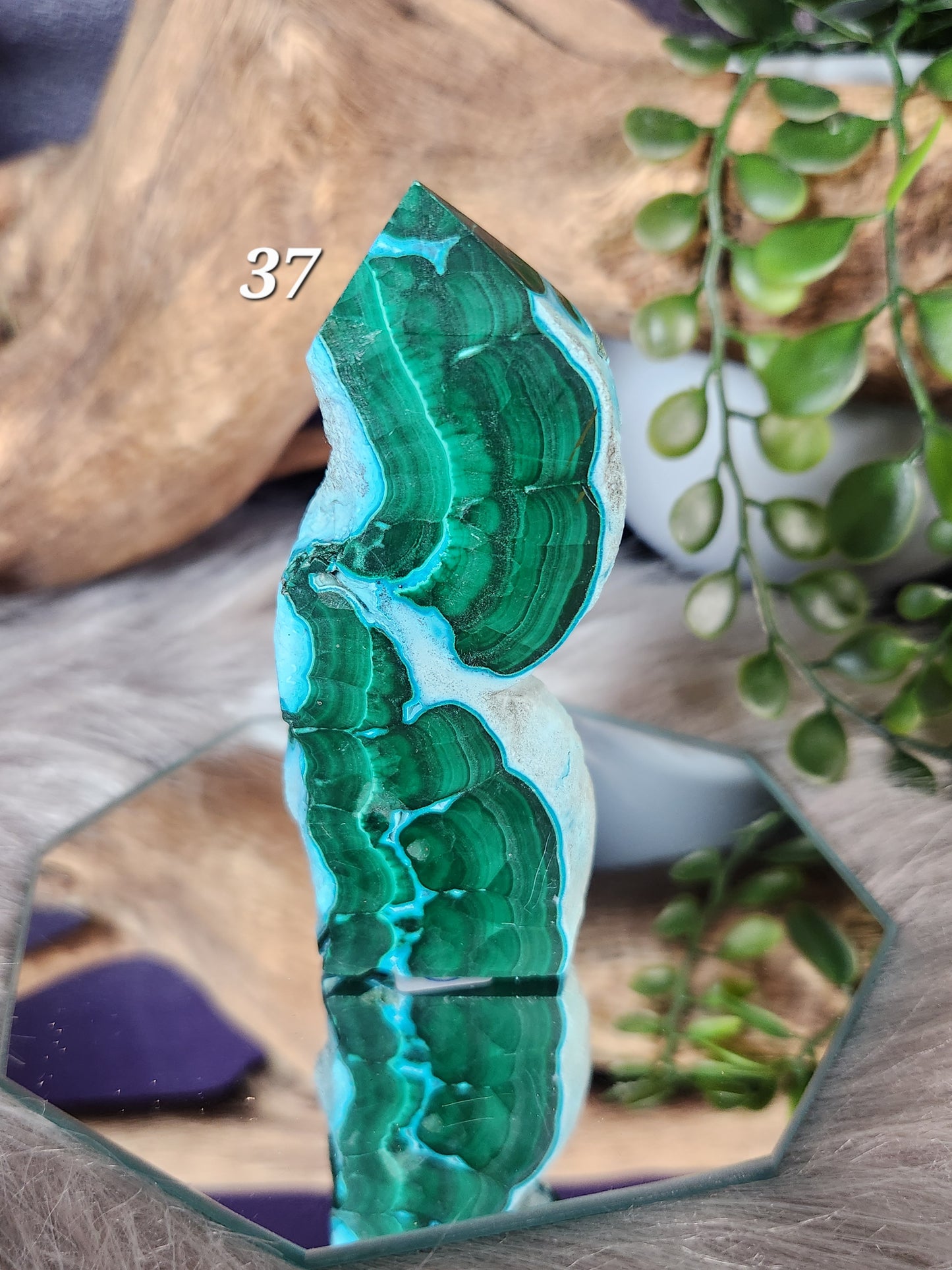 Malacolla | Small Slabs w/Raw Edges