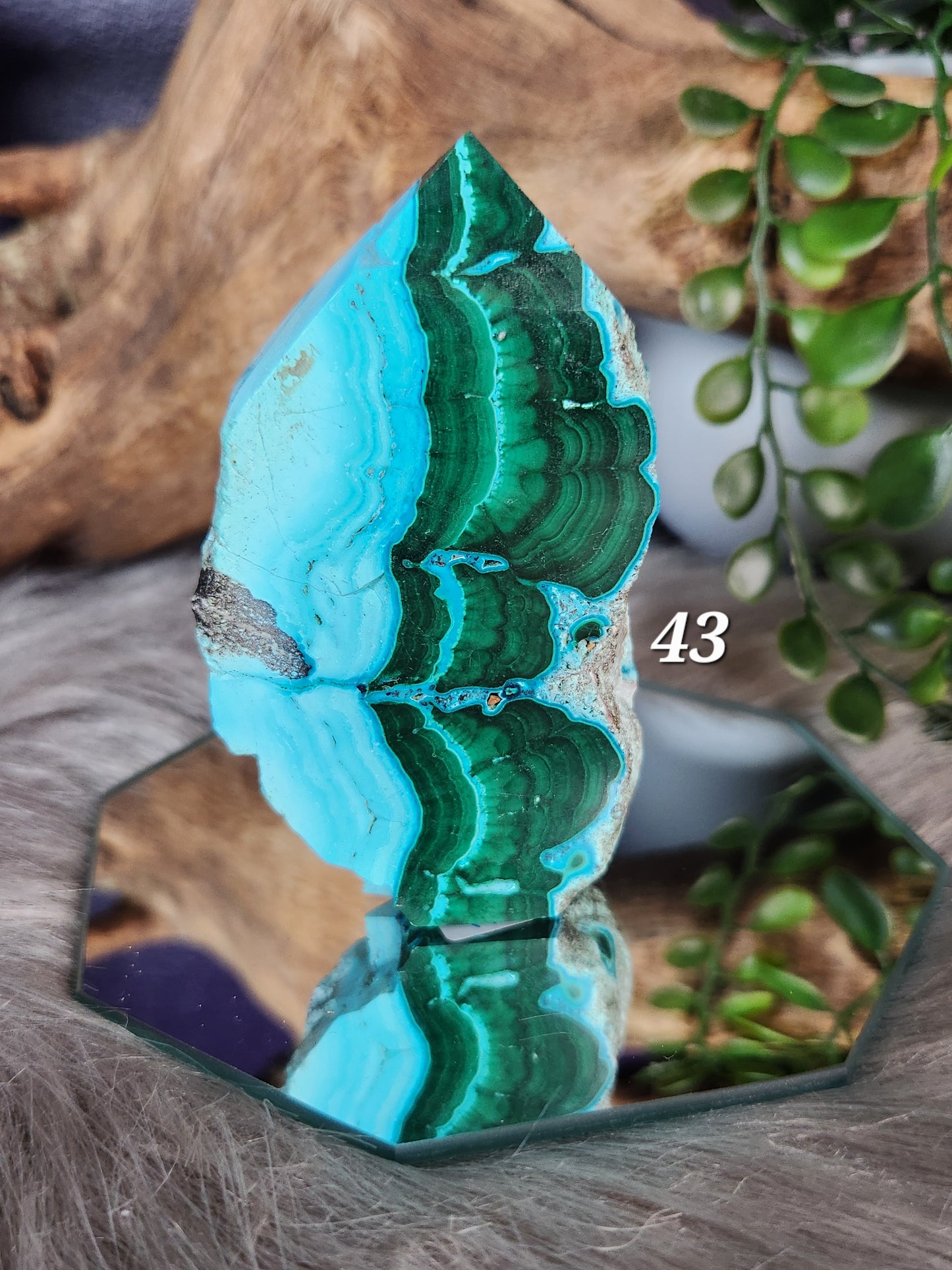 Malacolla | Small Slabs w/Raw Edges
