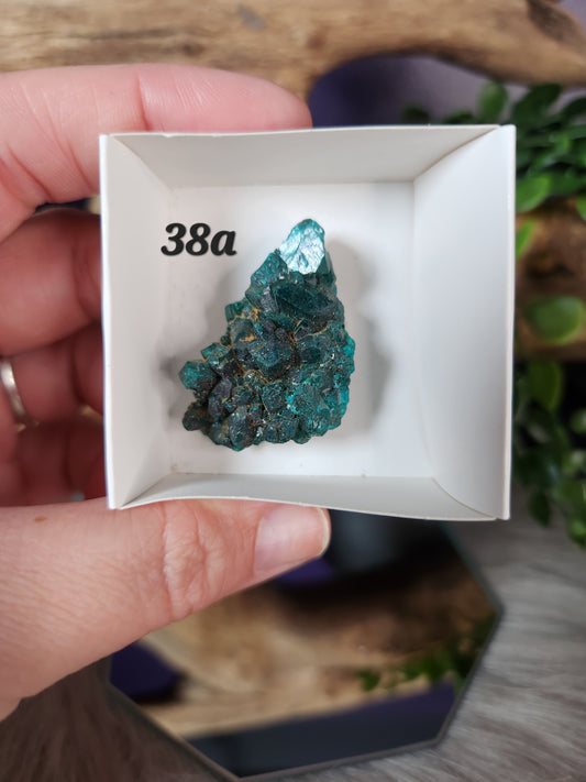 Dioptase | Specimens