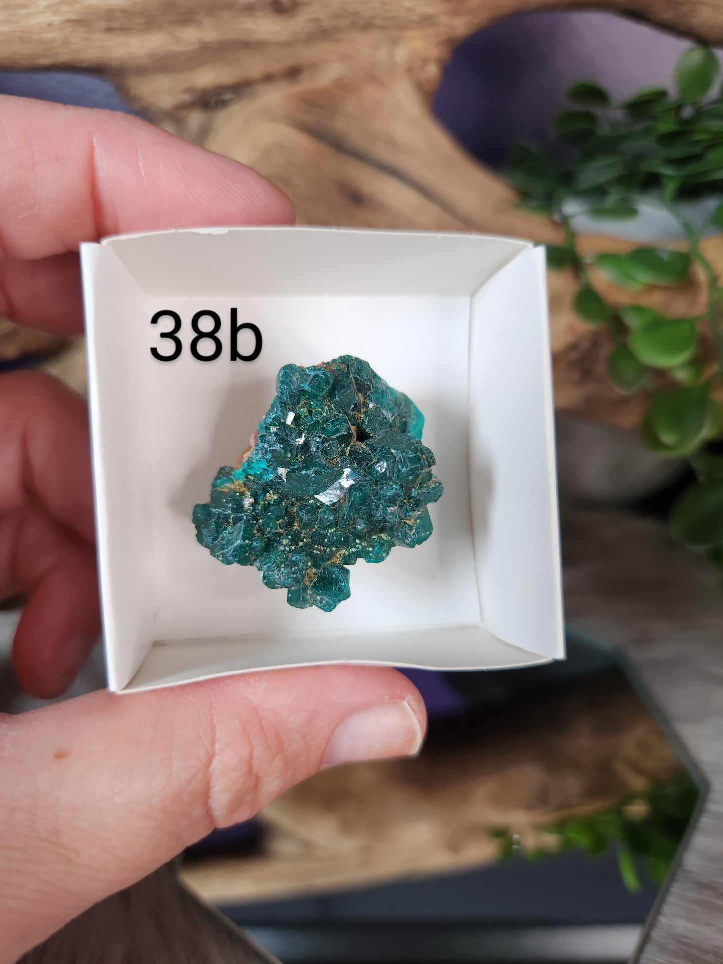 Dioptase | Specimens