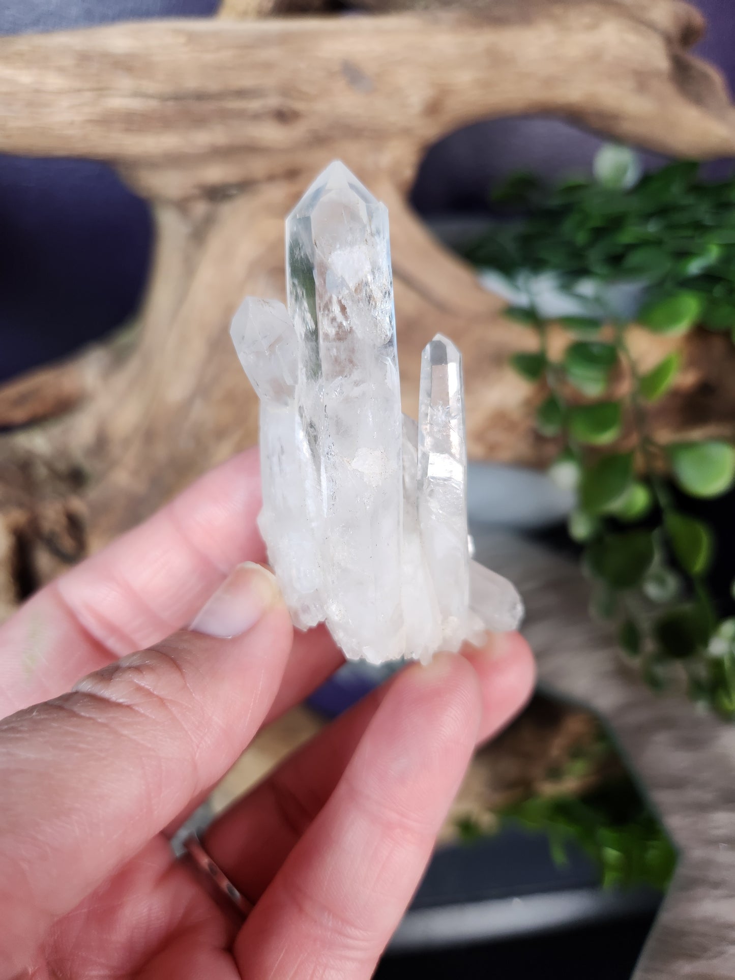 Clear Quartz Mini Cluster | Colombia