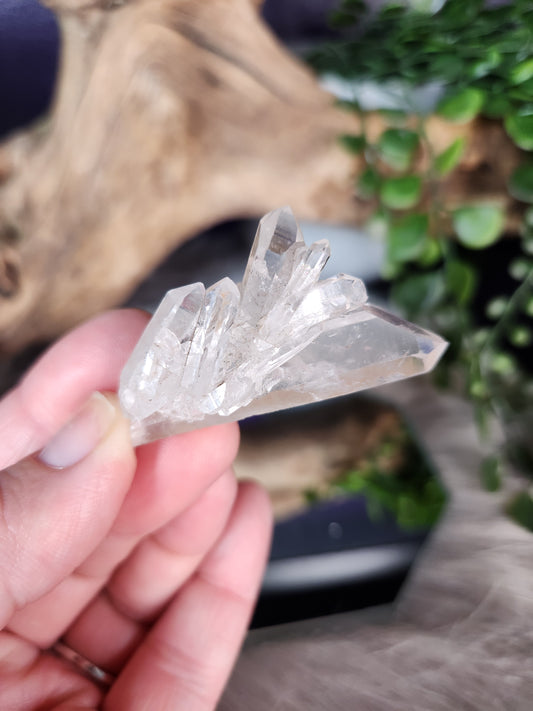 Clear Quartz Mini Cluster | Colombia